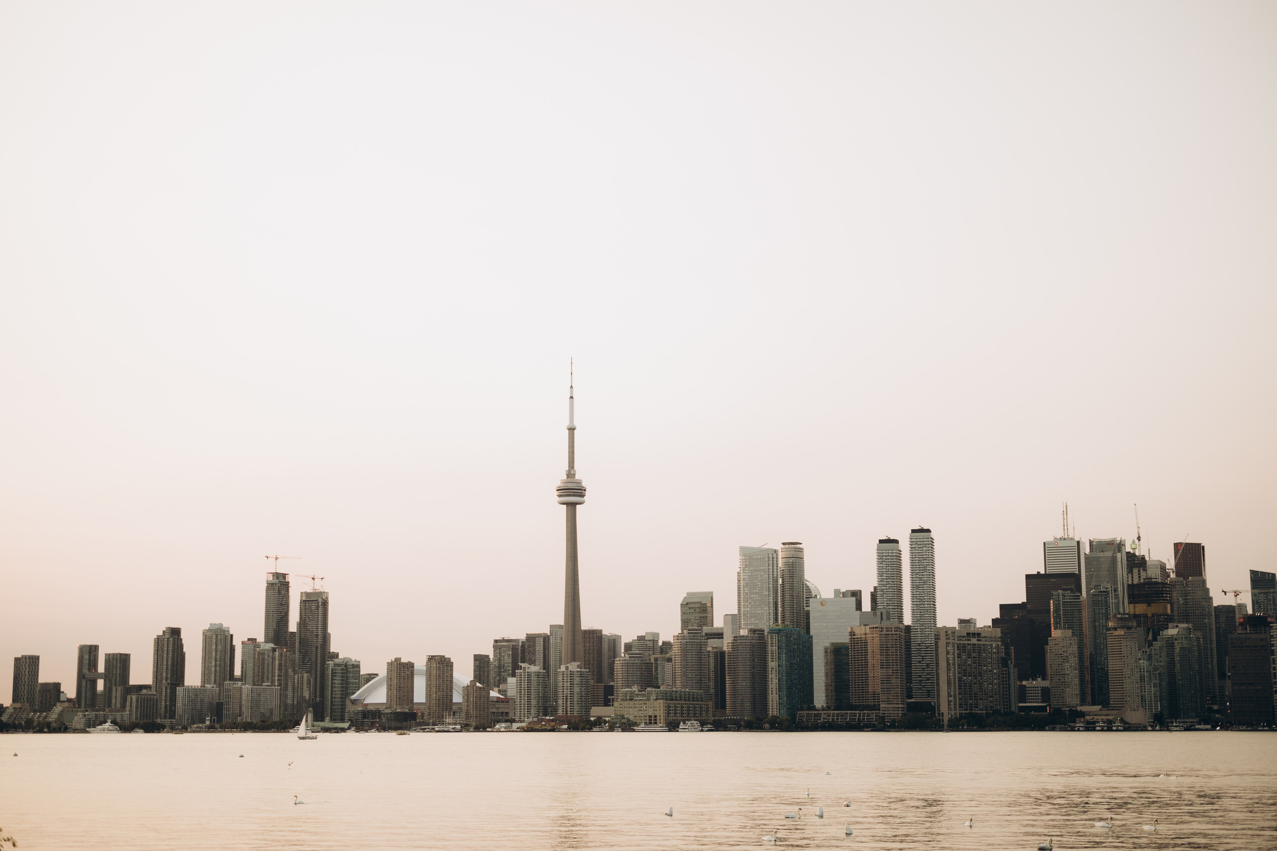 Charlotte&Keith. Wedding Photographer Toronto