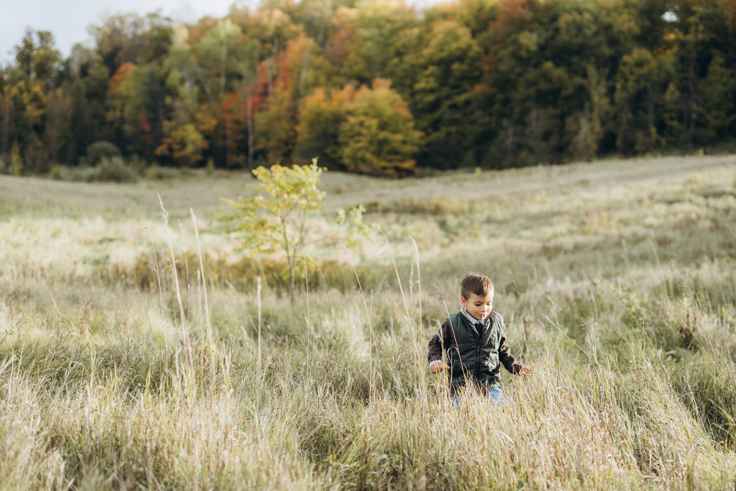 Scotsdale farm. Wedding Photographer Toronto