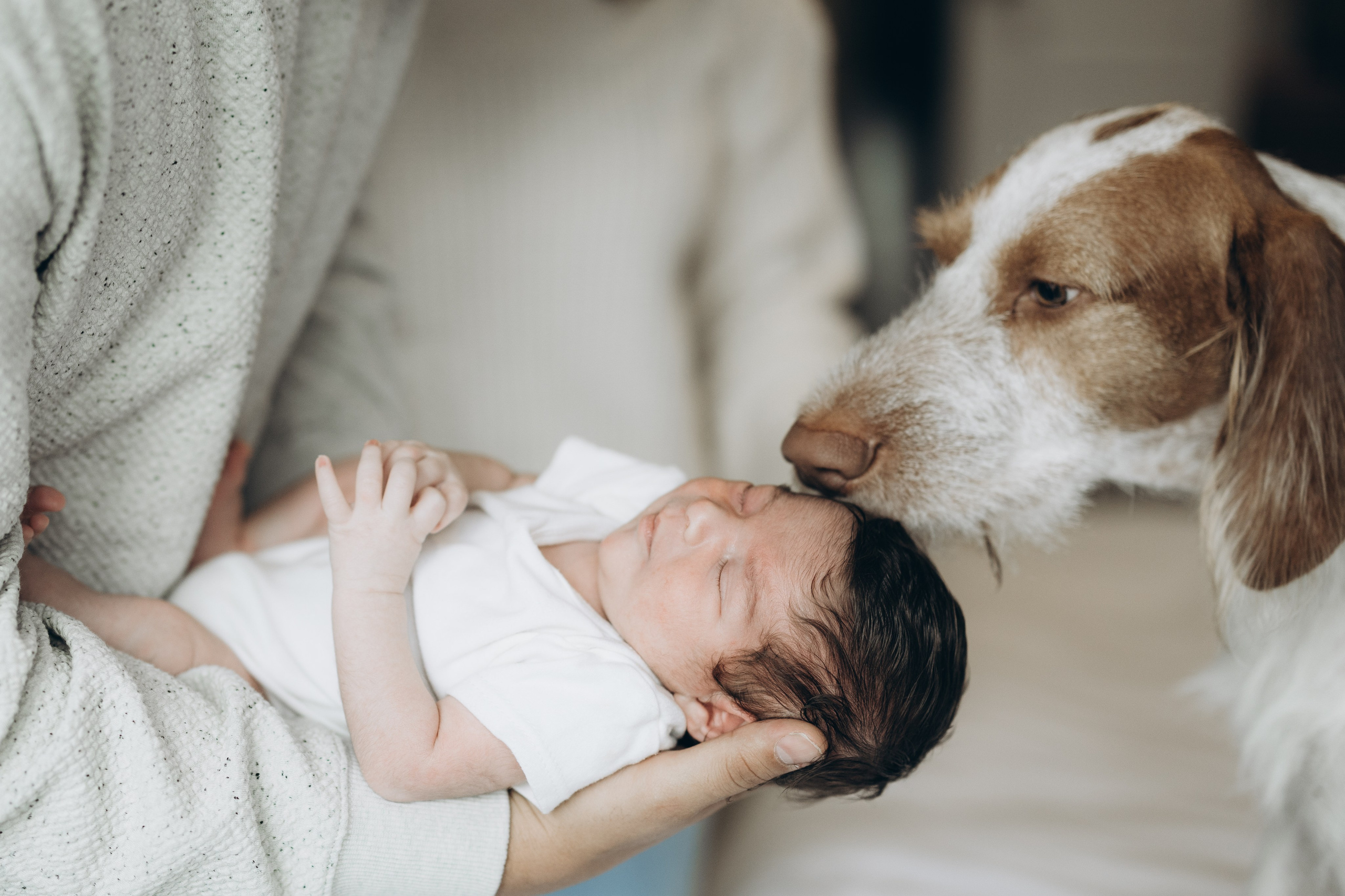 Baby Luca. Wedding Photographer Toronto