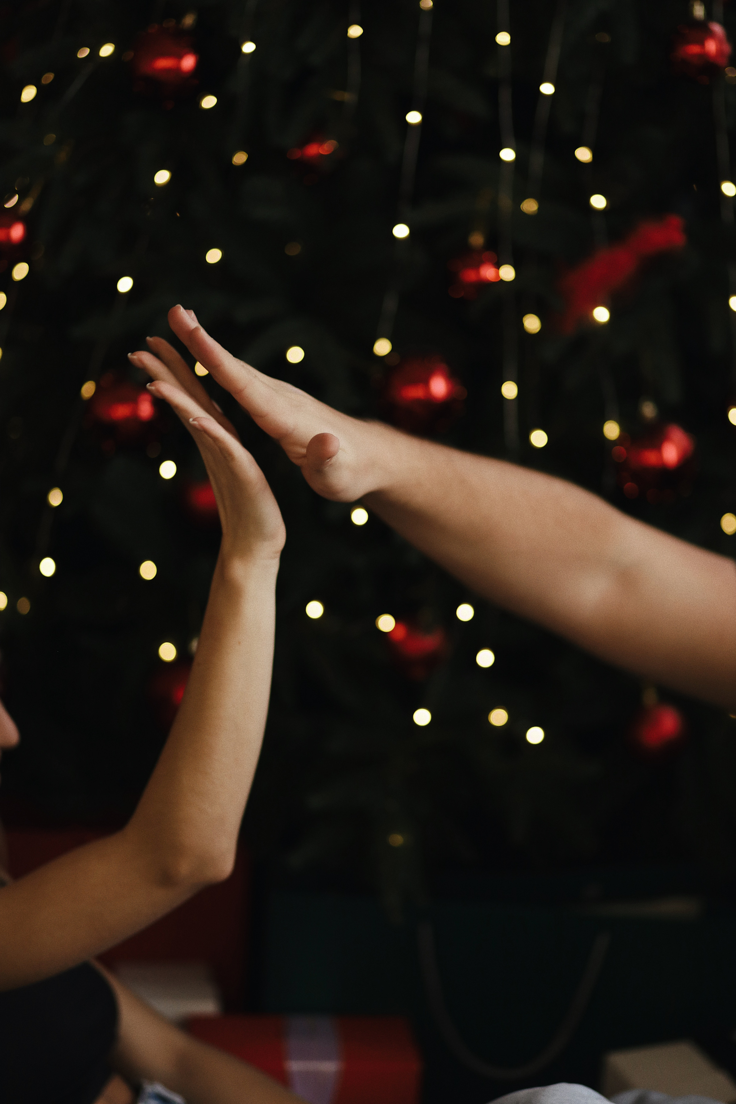 Di&Nikita (New year). Wedding Photographer Toronto