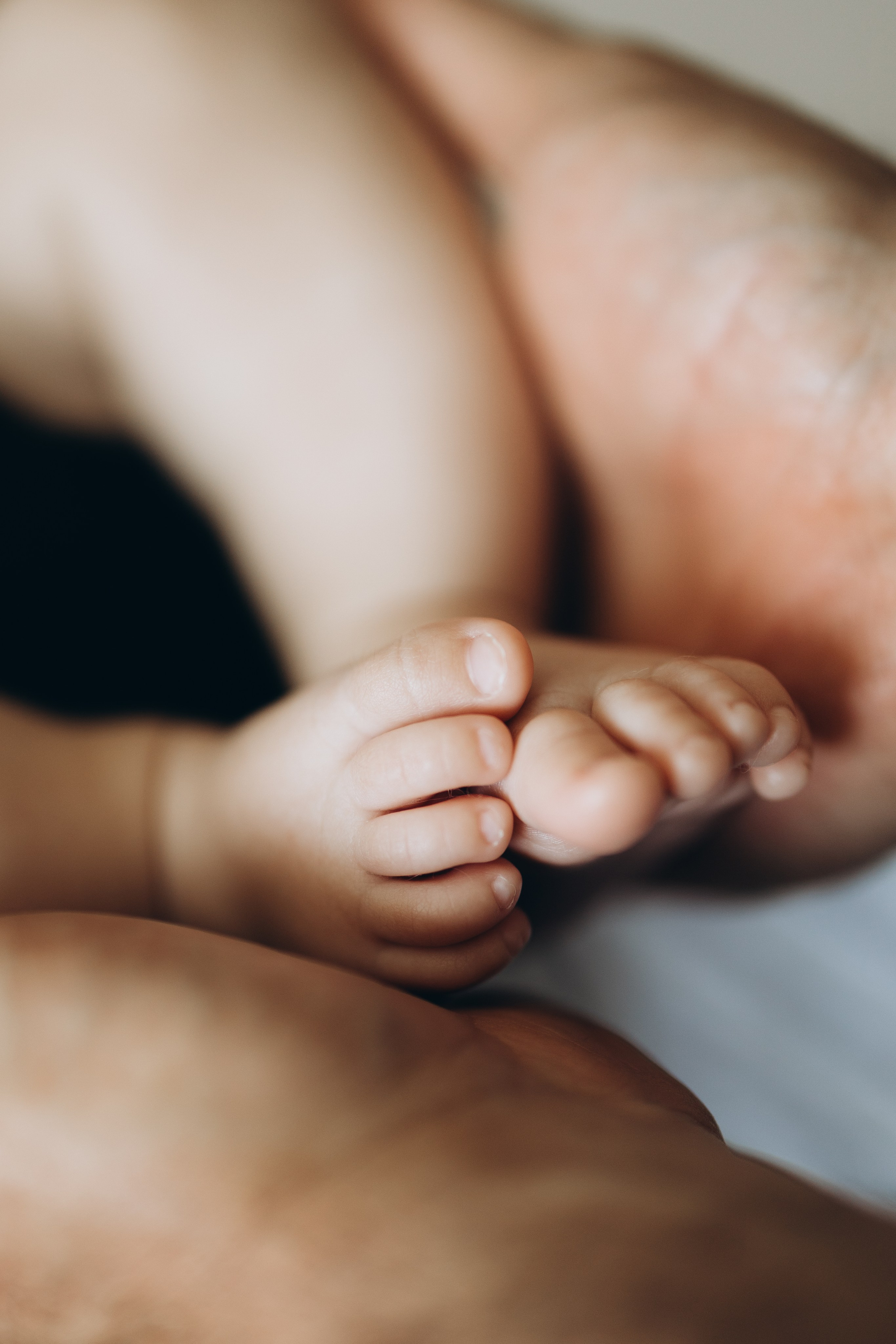 Sima family. Wedding Photographer Toronto