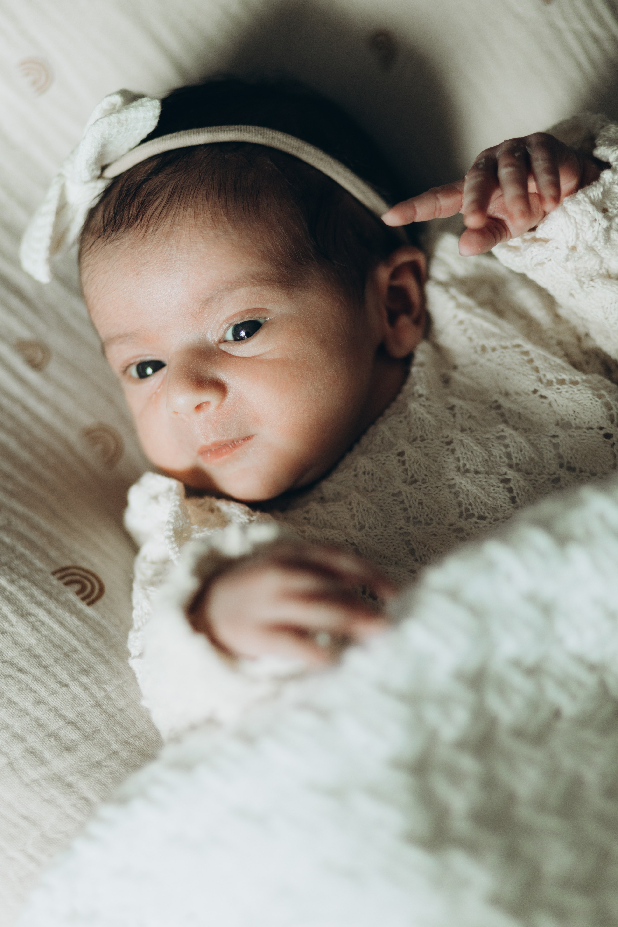 Newborn/family photo session. Wedding Photographer Toronto