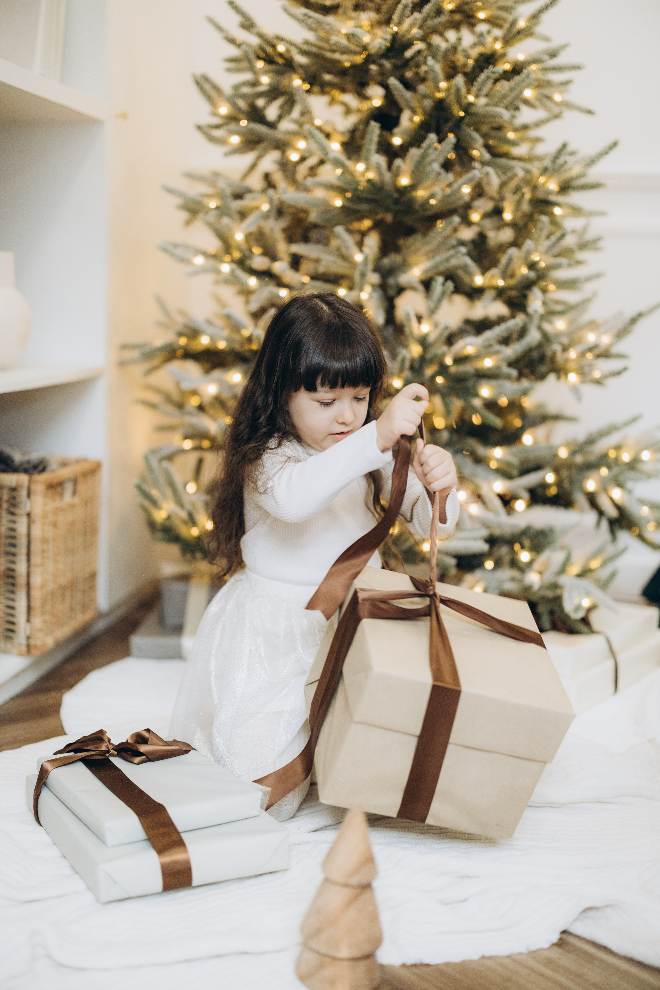 Christmas 2023. Wedding Photographer Toronto