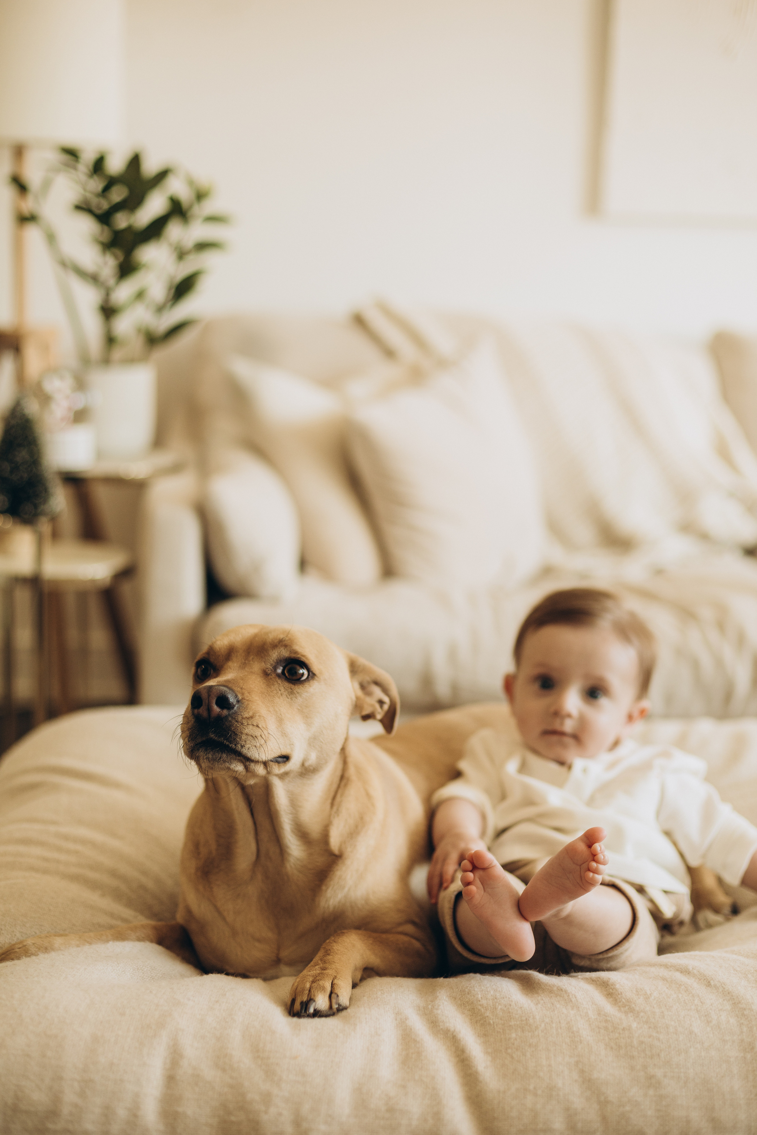 First Christmas. Wedding Photographer Toronto