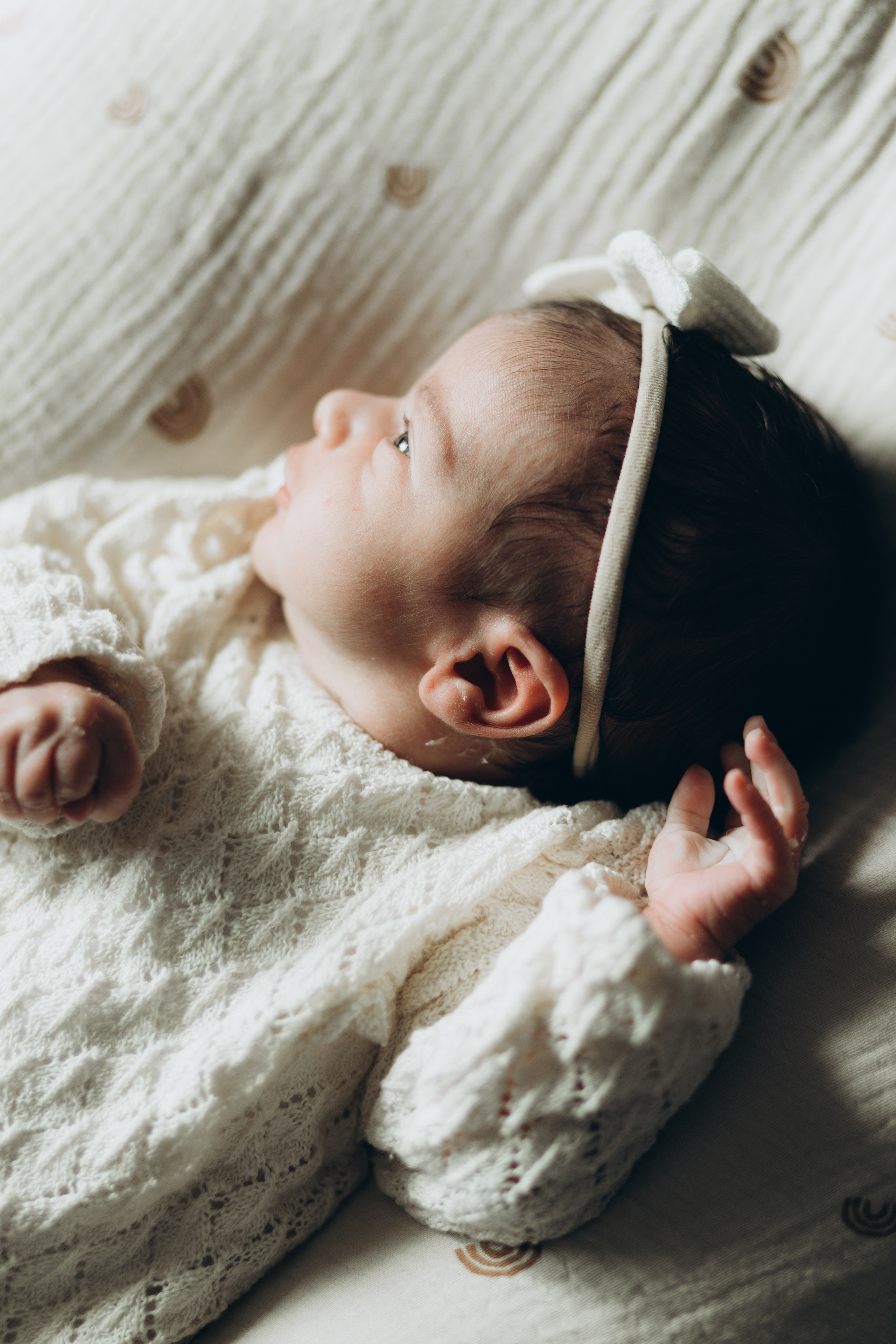 Newborn/family photo session. Wedding Photographer Toronto