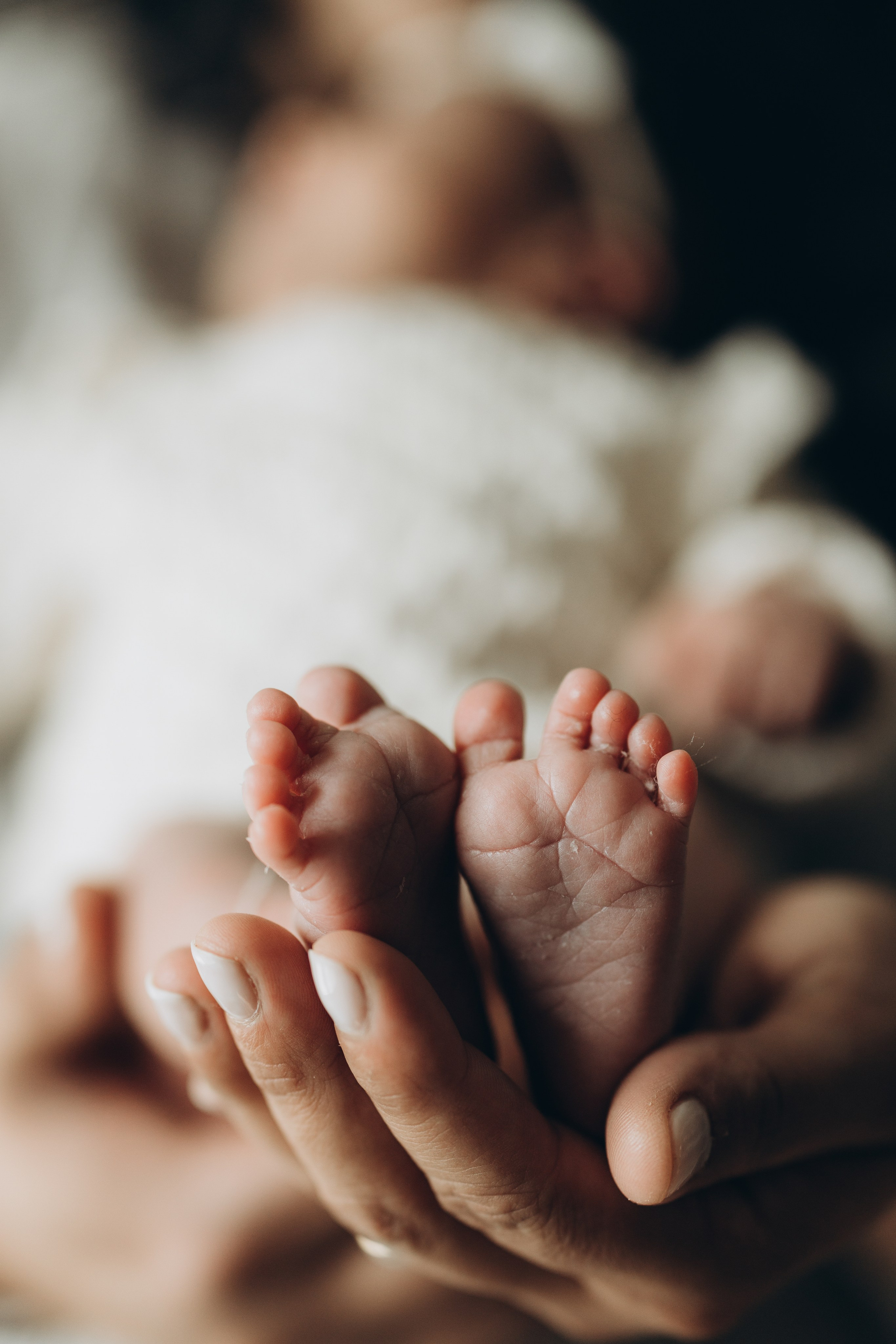 Newborn/family photo session. Wedding Photographer Toronto