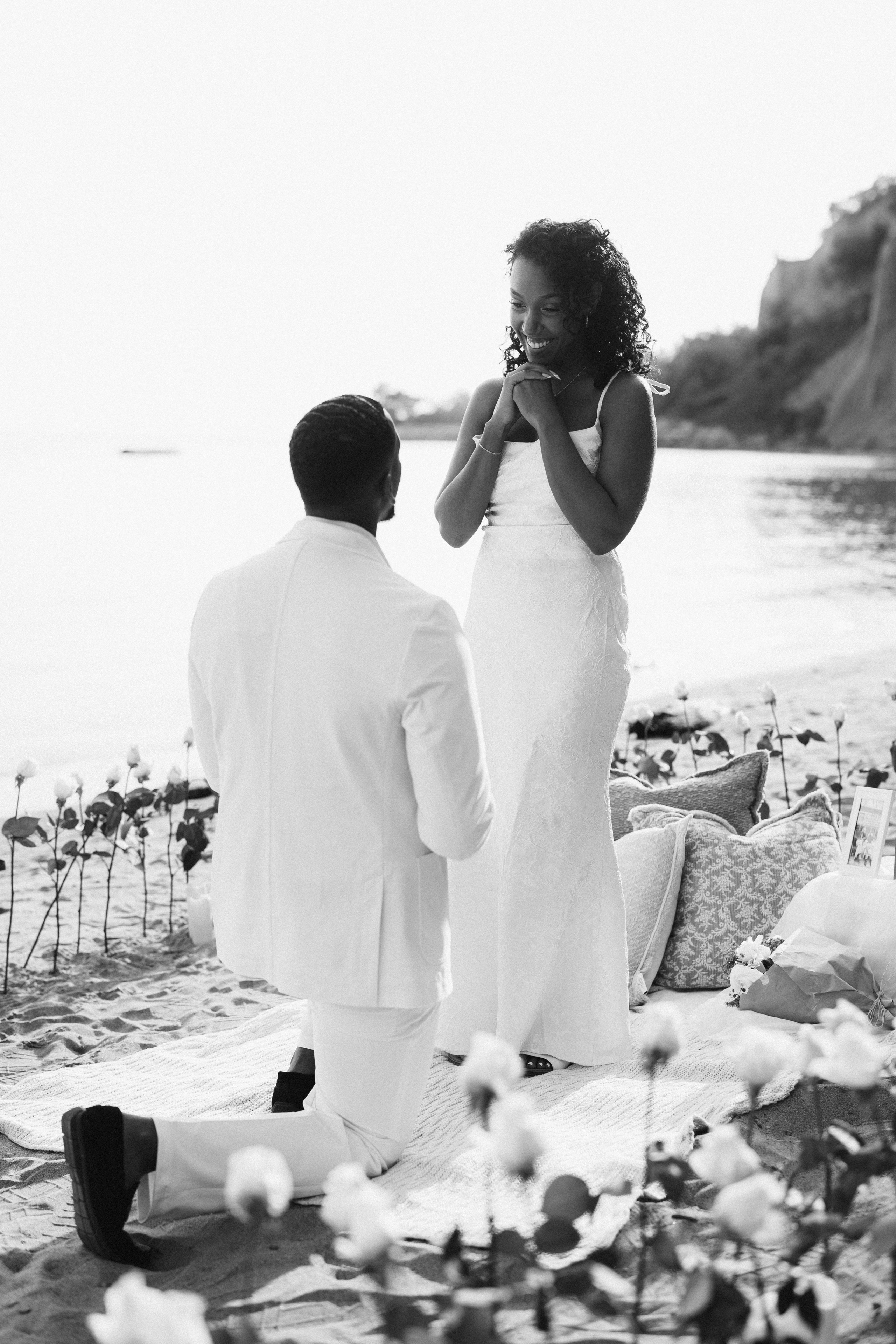 Marii&David. Wedding Photographer Toronto