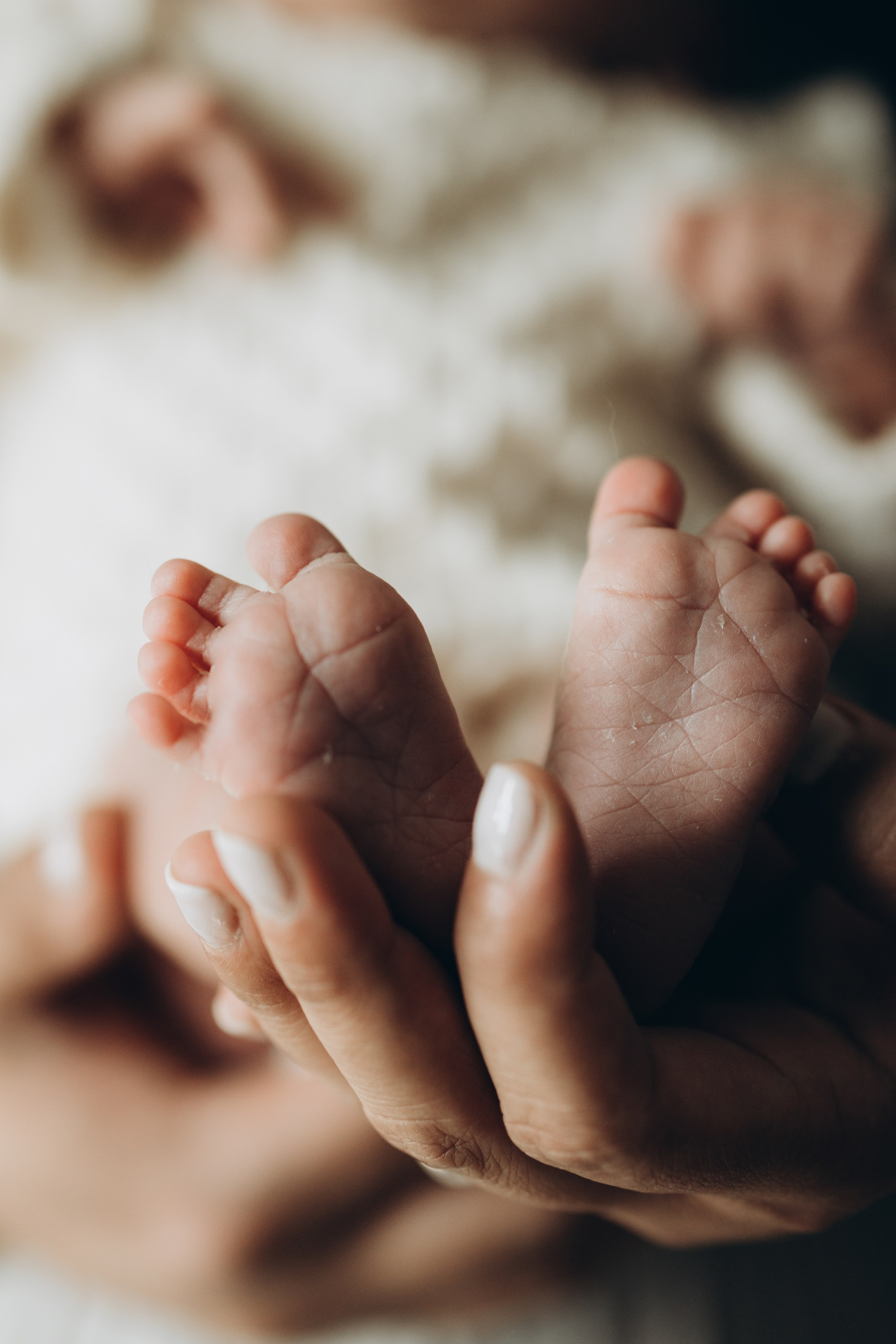 Newborn/family photo session. Wedding Photographer Toronto