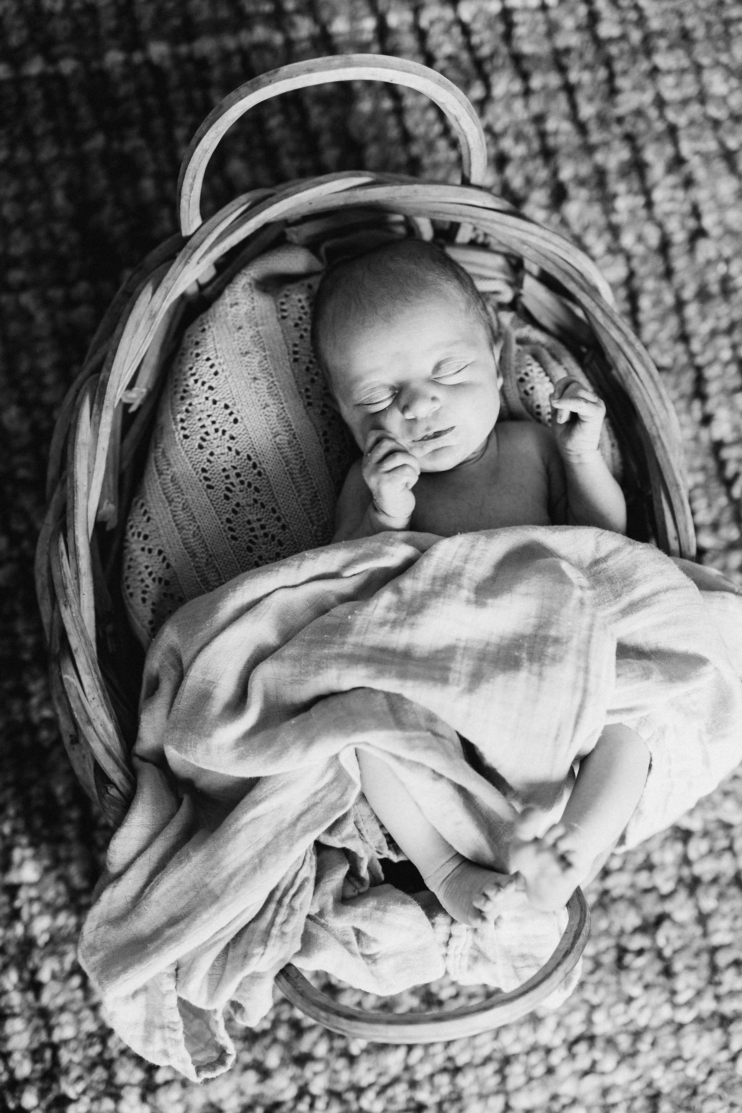 7 days old. Wedding Photographer Toronto