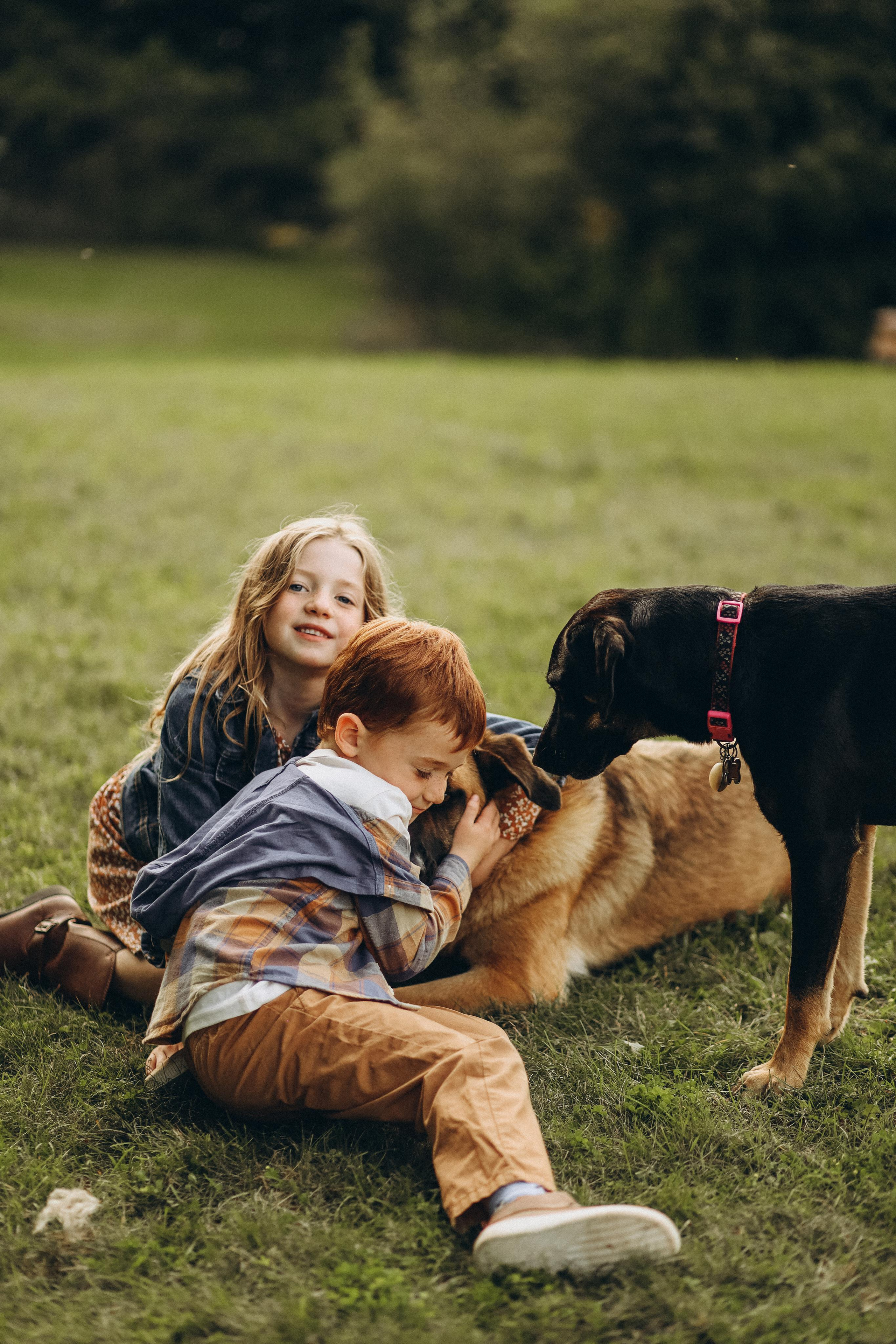 Sullivan family. Wedding Photographer Toronto
