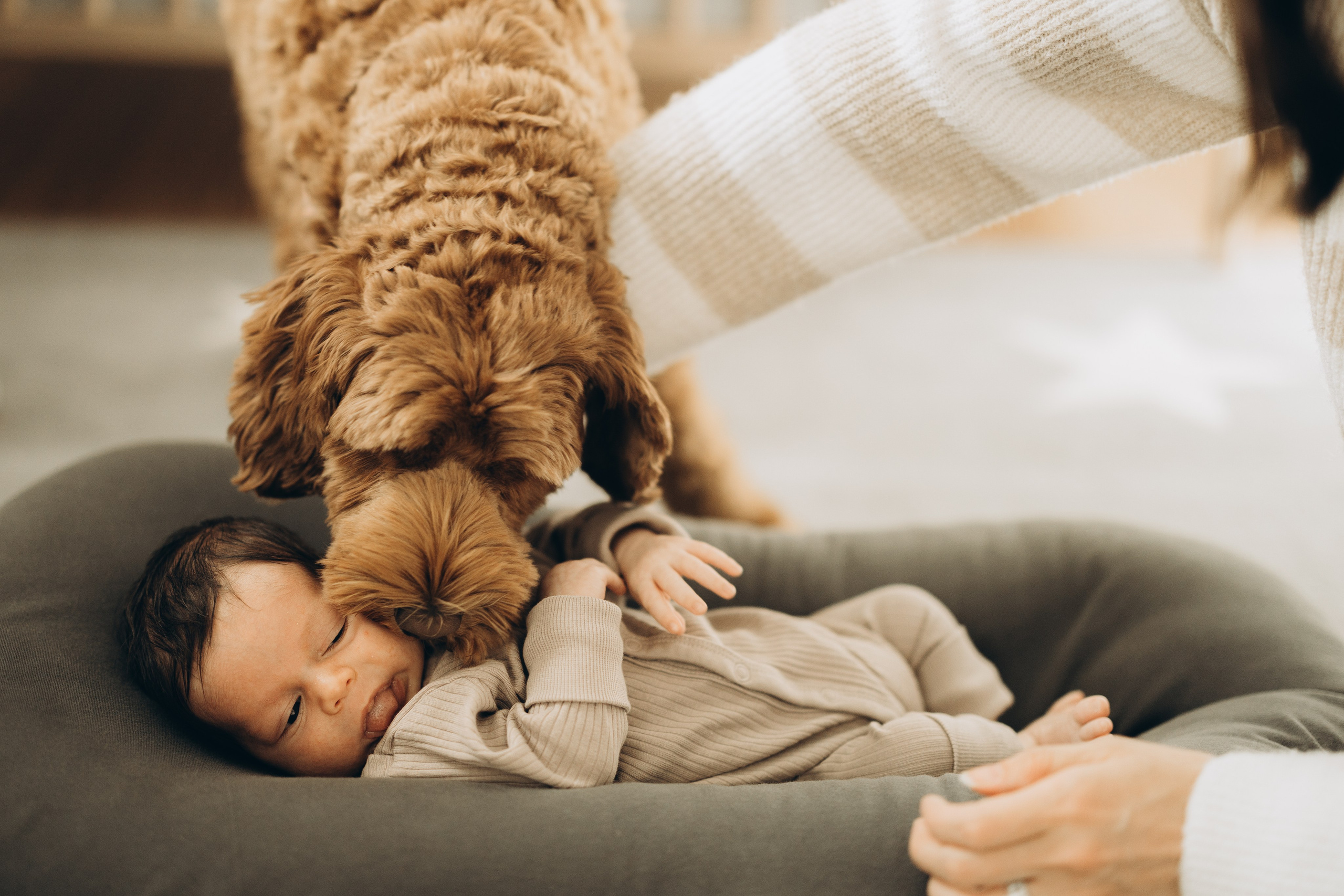 Family session. Wedding Photographer Toronto