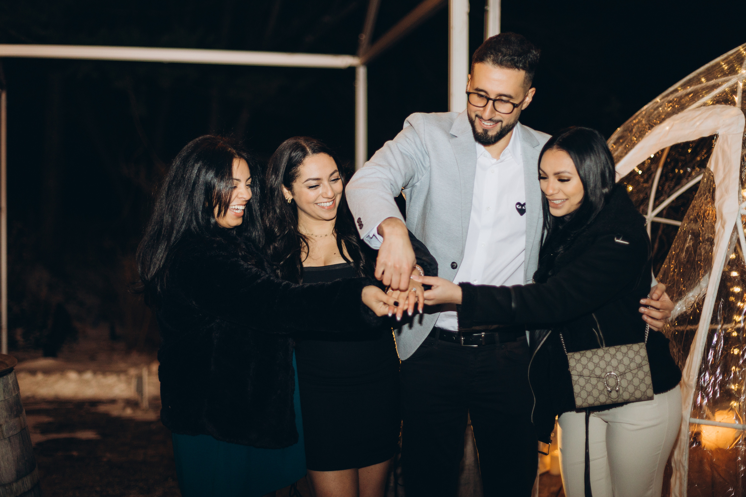 She said Yes!. Wedding Photographer Toronto