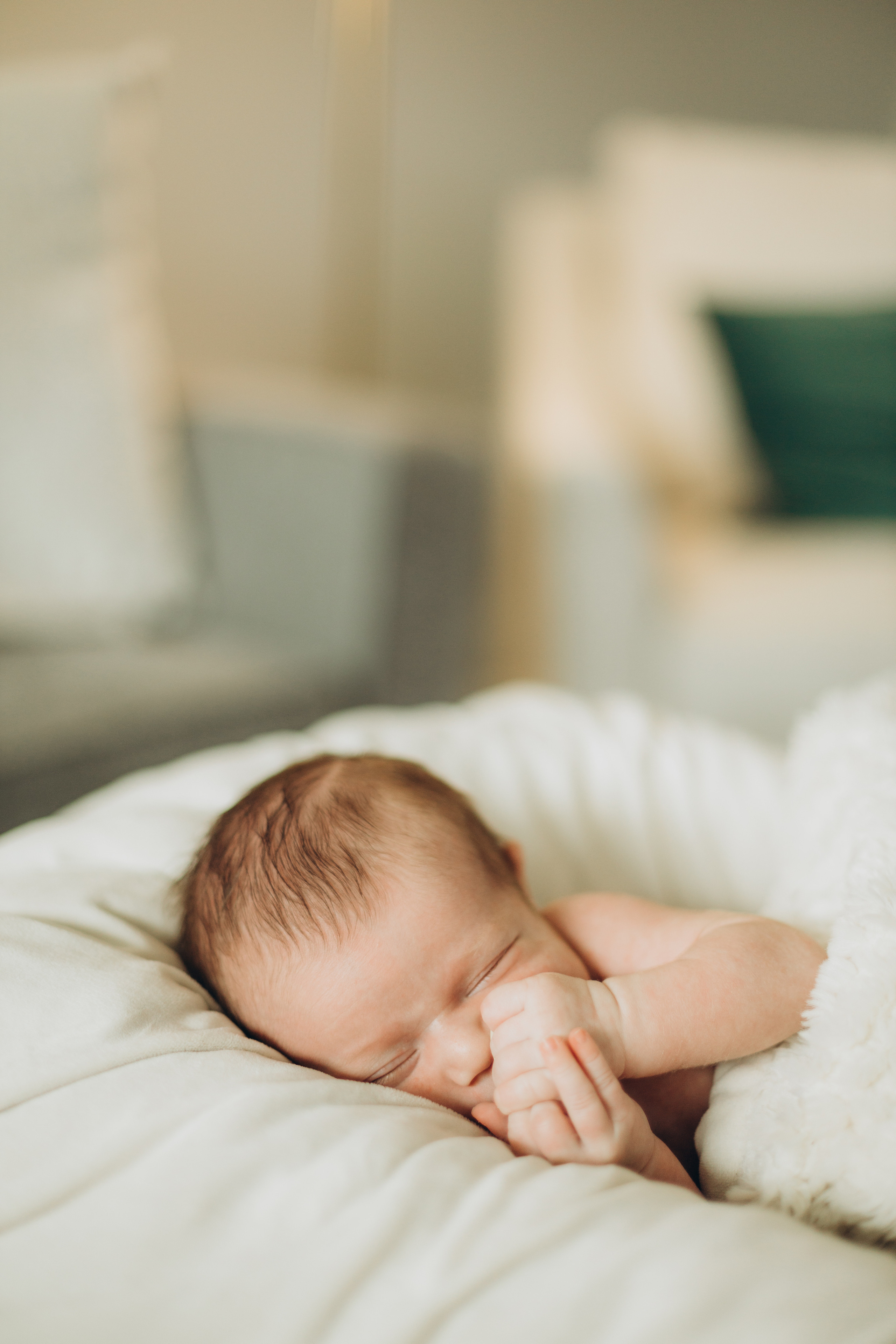 Baby Conrad. Wedding Photographer Toronto
