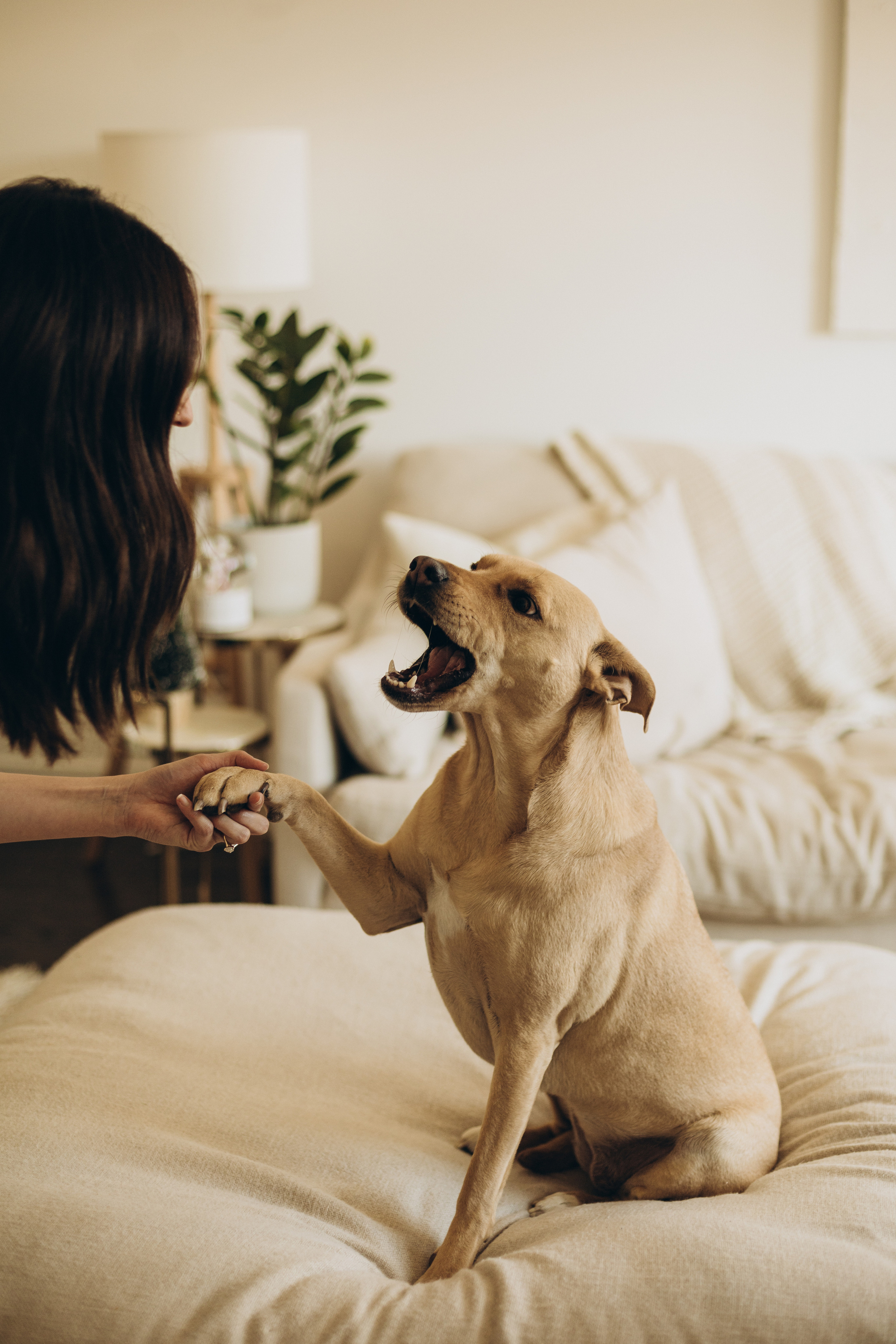 First Christmas. Wedding Photographer Toronto