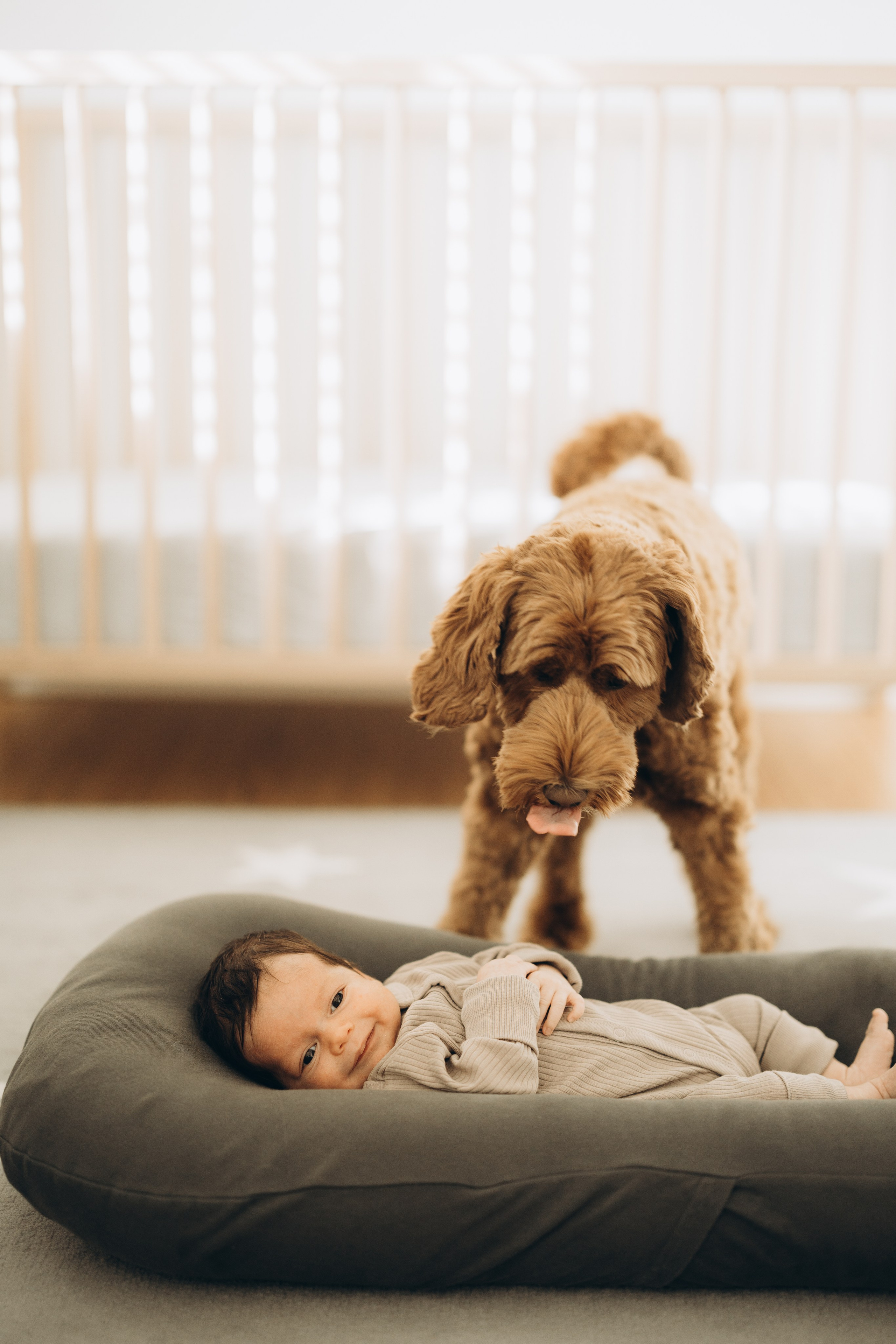 Family session. Wedding Photographer Toronto