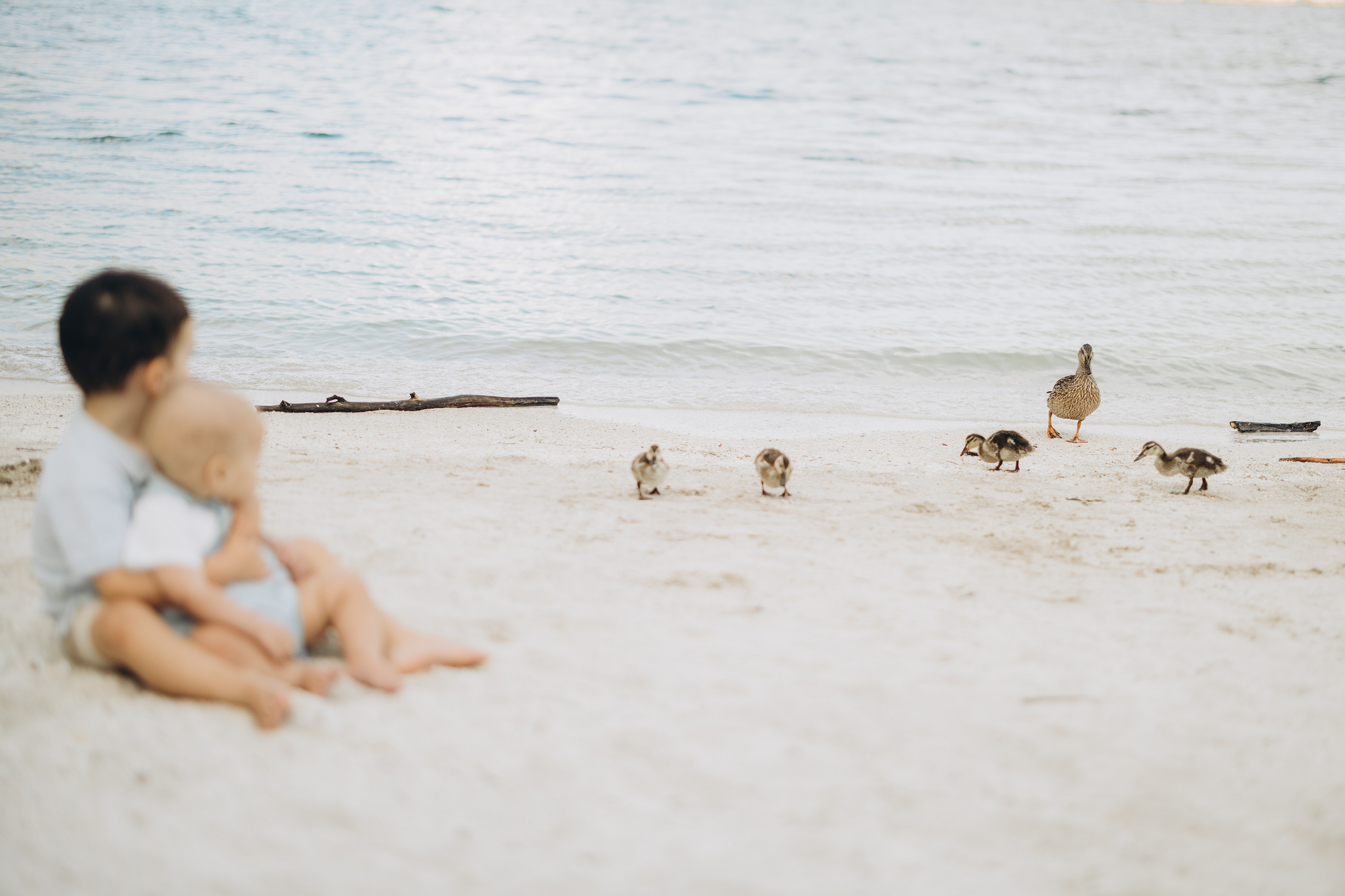 Beach photo session. Wedding Photographer Toronto