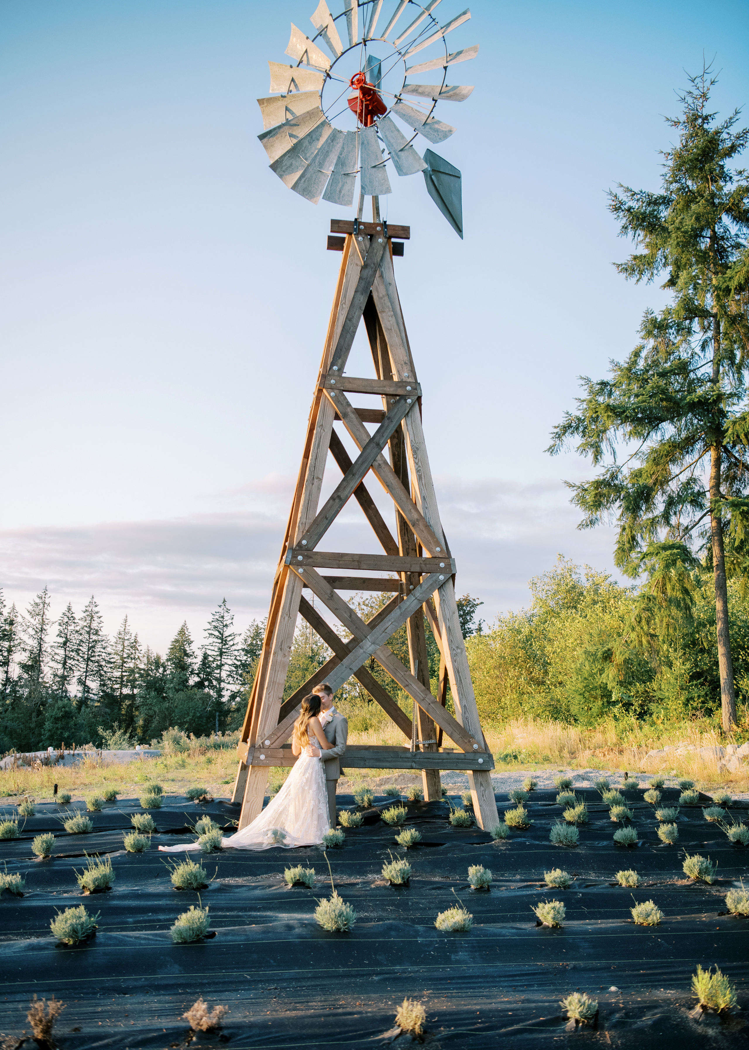 Wedding photographer Seattle. Anna Ternova — Wedding & Family Photographer in Seattle