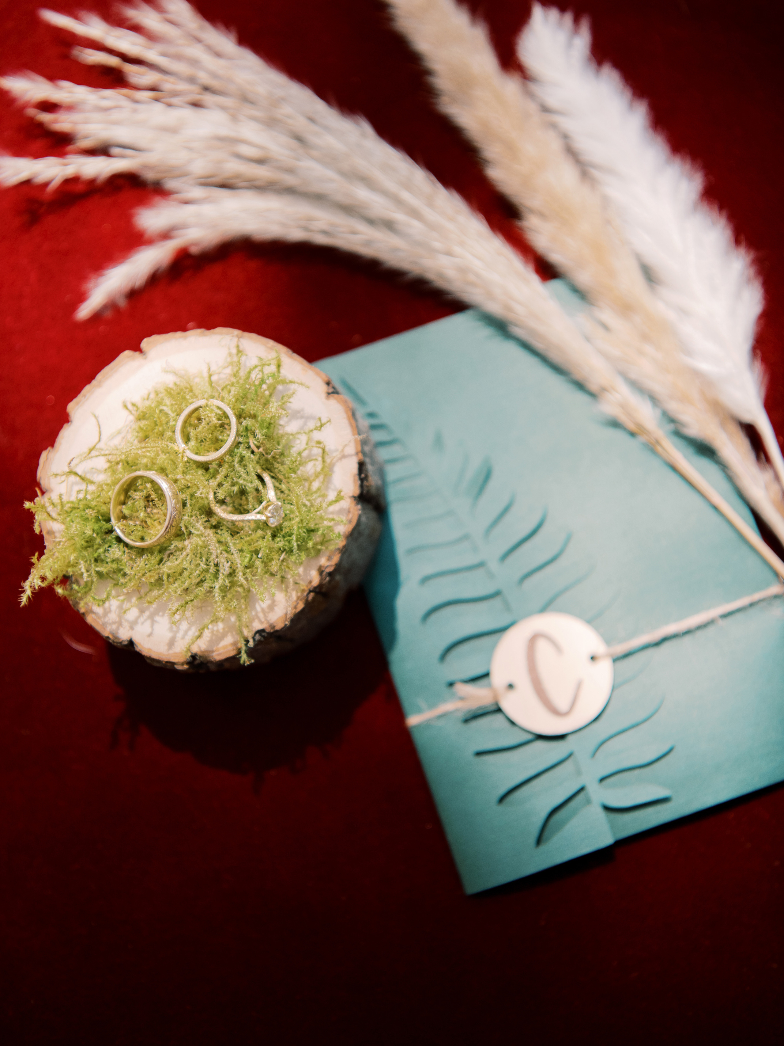 Wedding photographer Seattle. Anna Ternova — Wedding & Family Photographer in Seattle