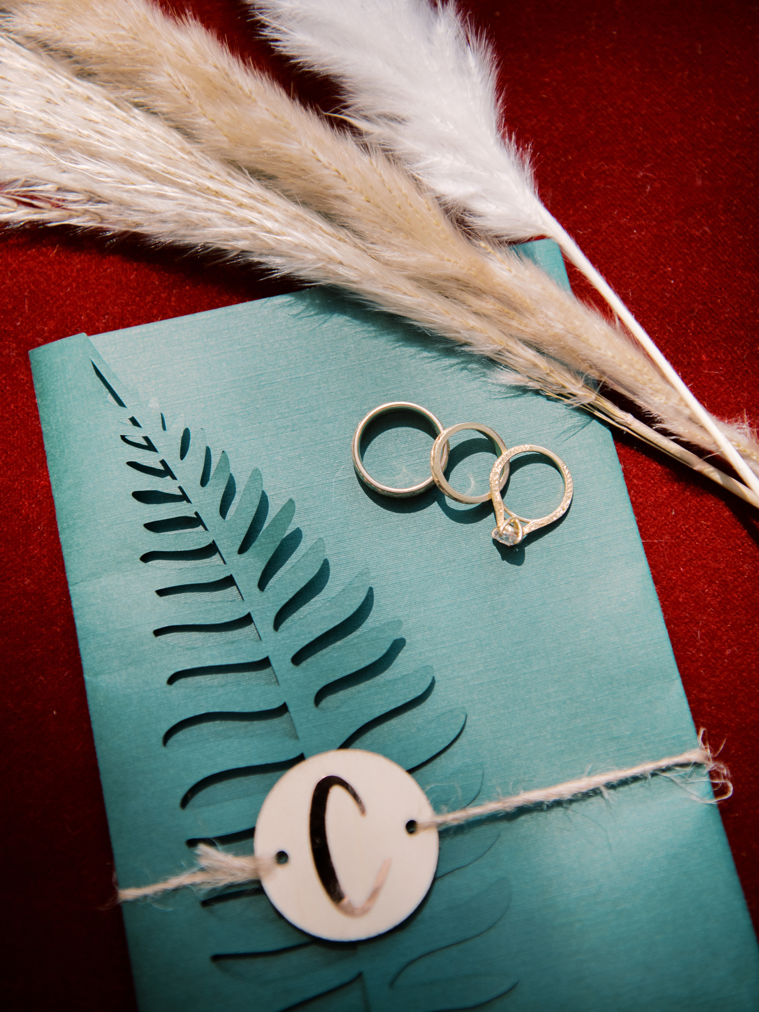 Wedding photographer Seattle. Anna Ternova — Wedding & Family Photographer in Seattle