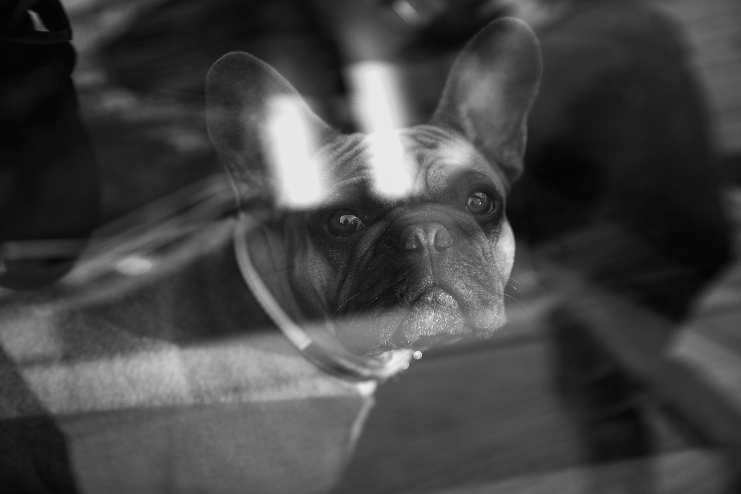 L + A. Весільний фотограф у Кременчуці Кісельов Сергій