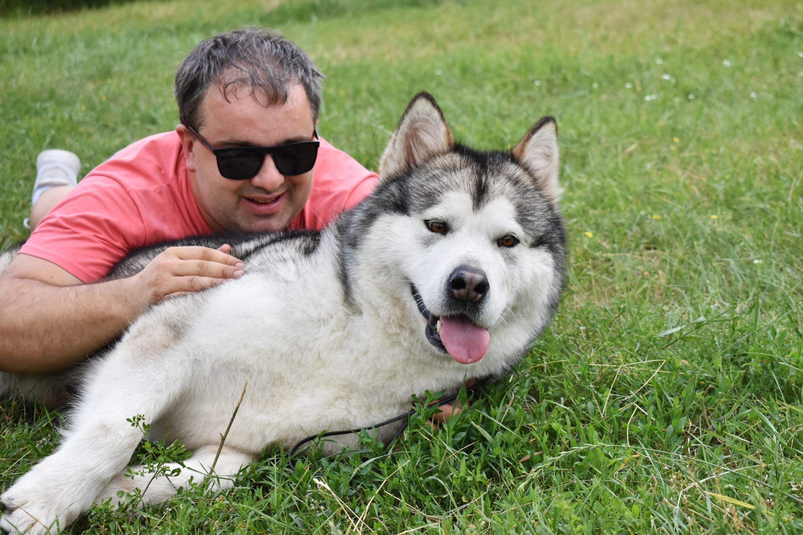 AVENTURAS EN ALASKA GLAMOUR. AVENTURAS EN ALASKA — питомник Аляскинских маламутов в Украине