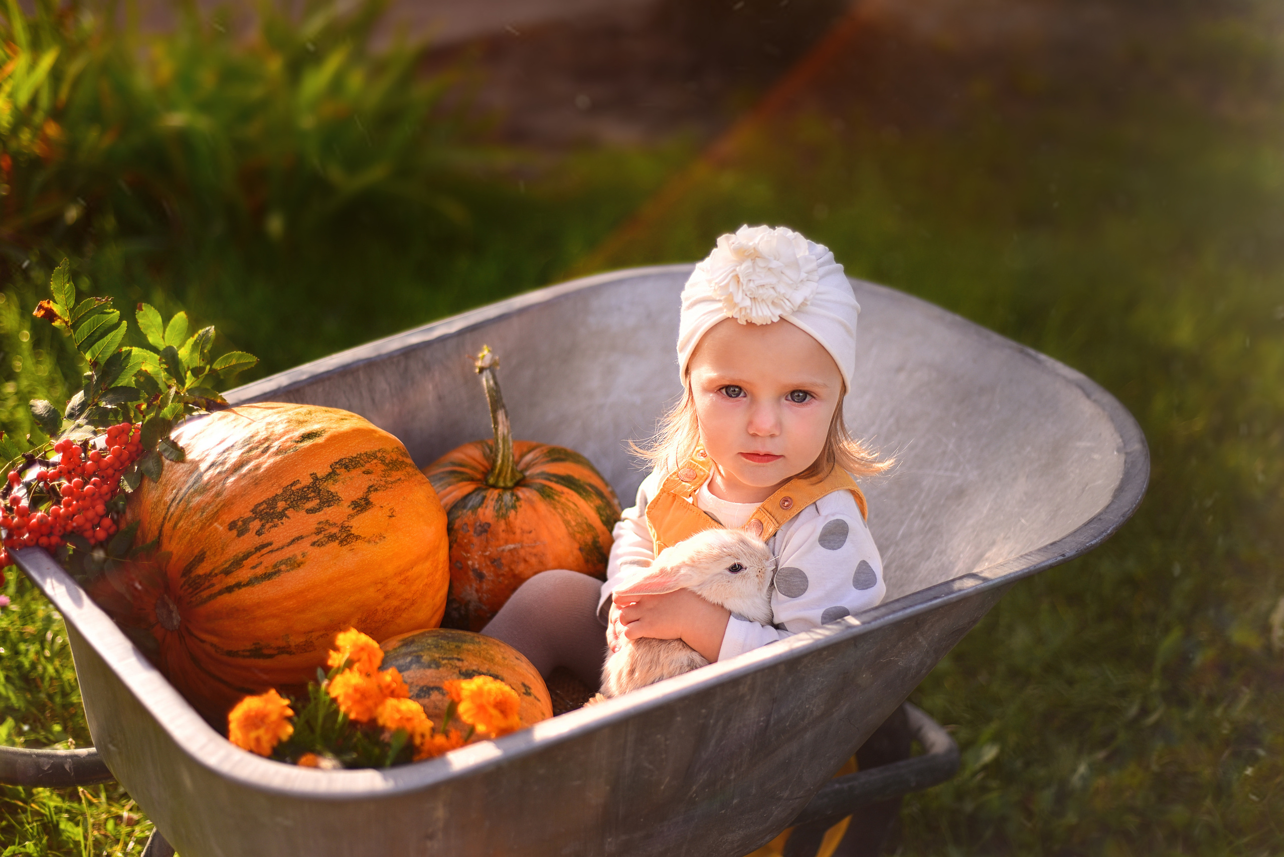 ФОТОПРОЕКТИ З ТВАРИНАМИ. Фотограф новонароджених (newborn) та дитинства у Житомирі Анна Якимчук