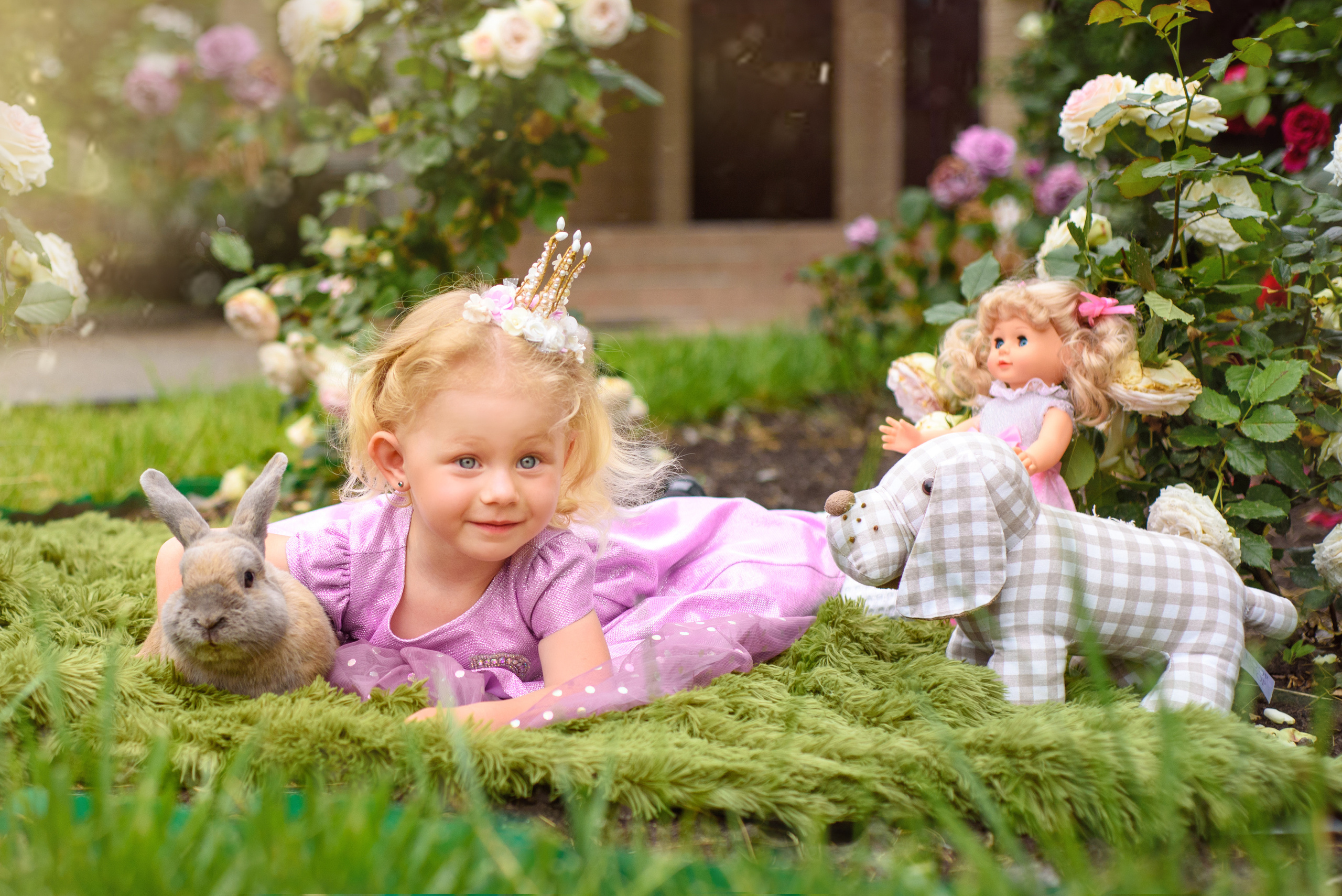 ФОТОПРОЕКТИ З ТВАРИНАМИ. Фотограф новонароджених (newborn) та дитинства у Житомирі Анна Якимчук