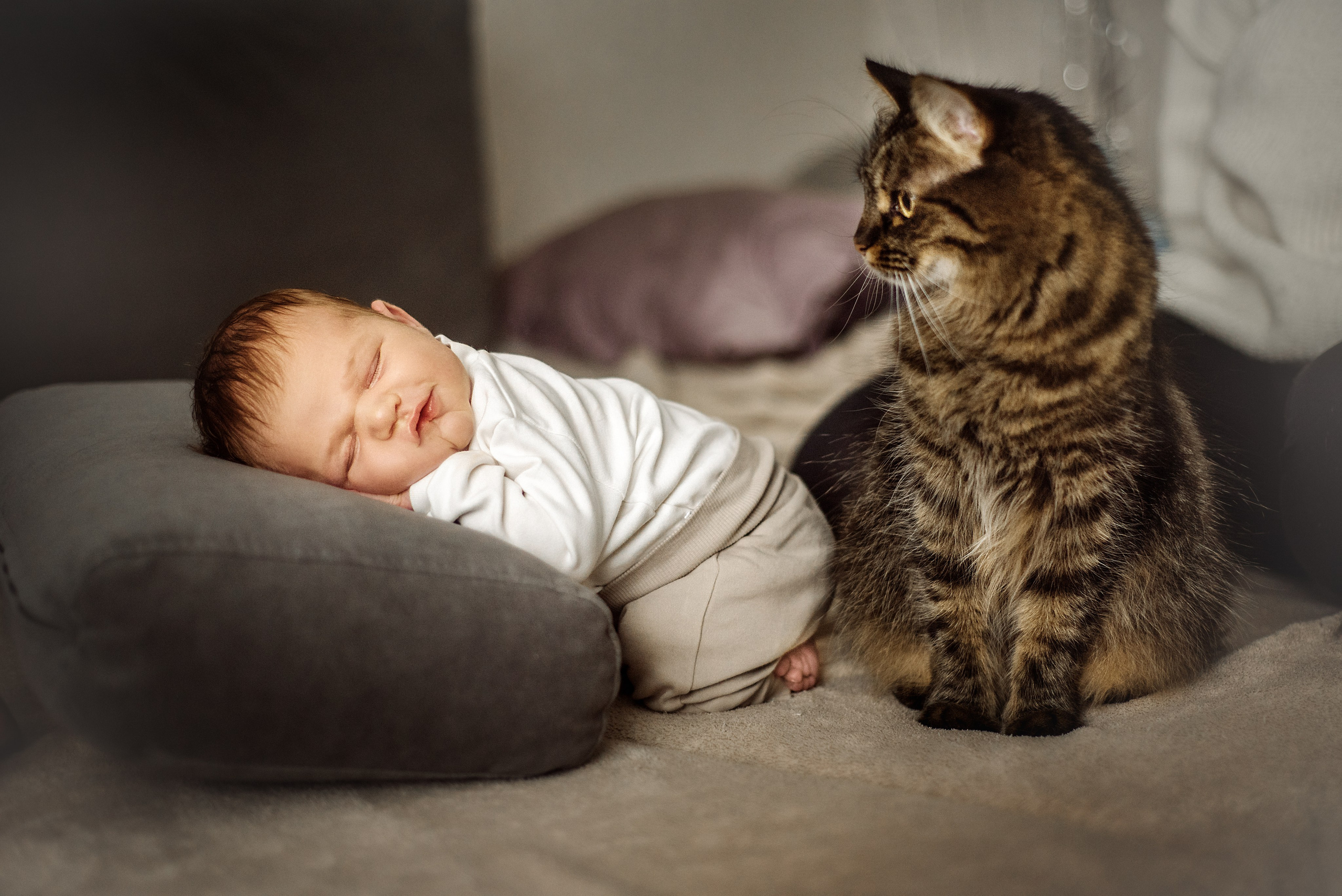 ньюборн новонароджені фотосесія домашня преміум пологи вагітність материнство фотосесія новонародженого newborn житомир фотограф сімейна історія родина традиціі