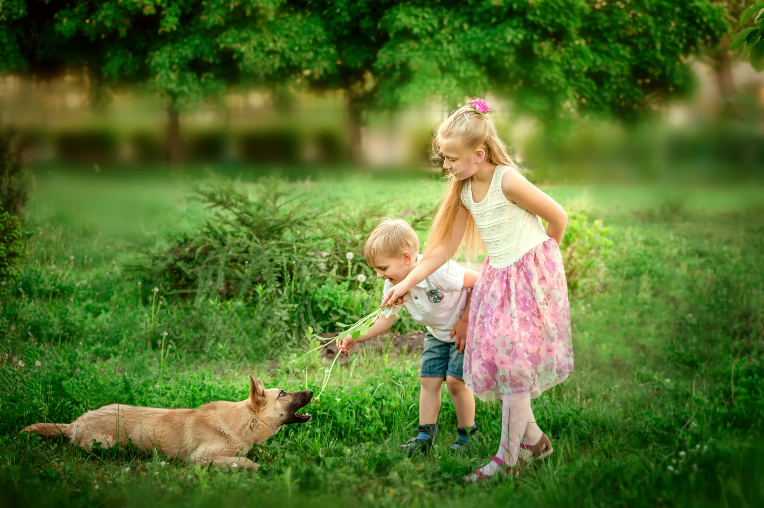 ФОТОПРОЕКТИ З ТВАРИНАМИ. Фотограф новонароджених (newborn) та дитинства у Житомирі Анна Якимчук