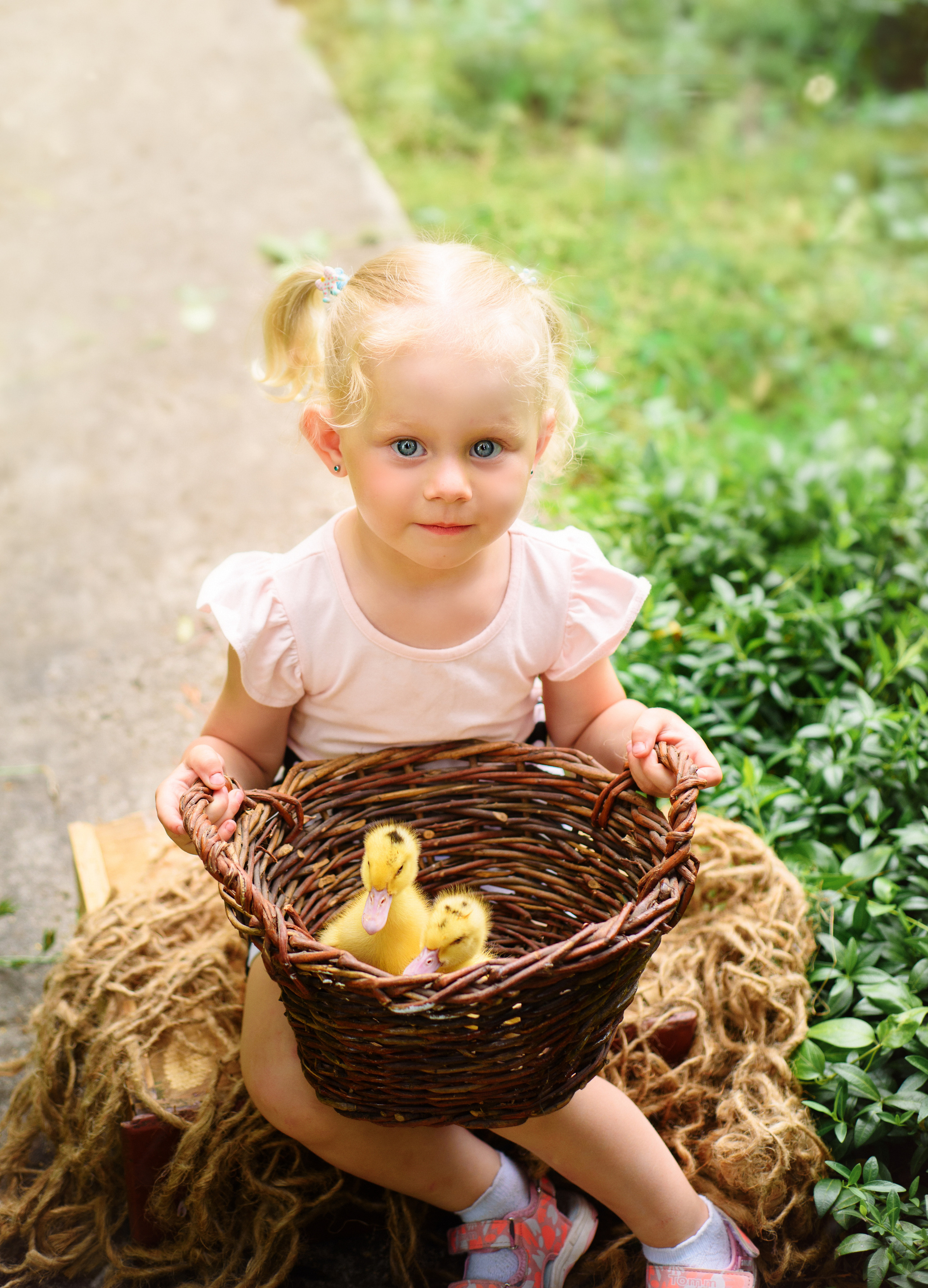 ФОТОПРОЕКТИ З ТВАРИНАМИ. Фотограф новонароджених (newborn) та дитинства у Житомирі Анна Якимчук