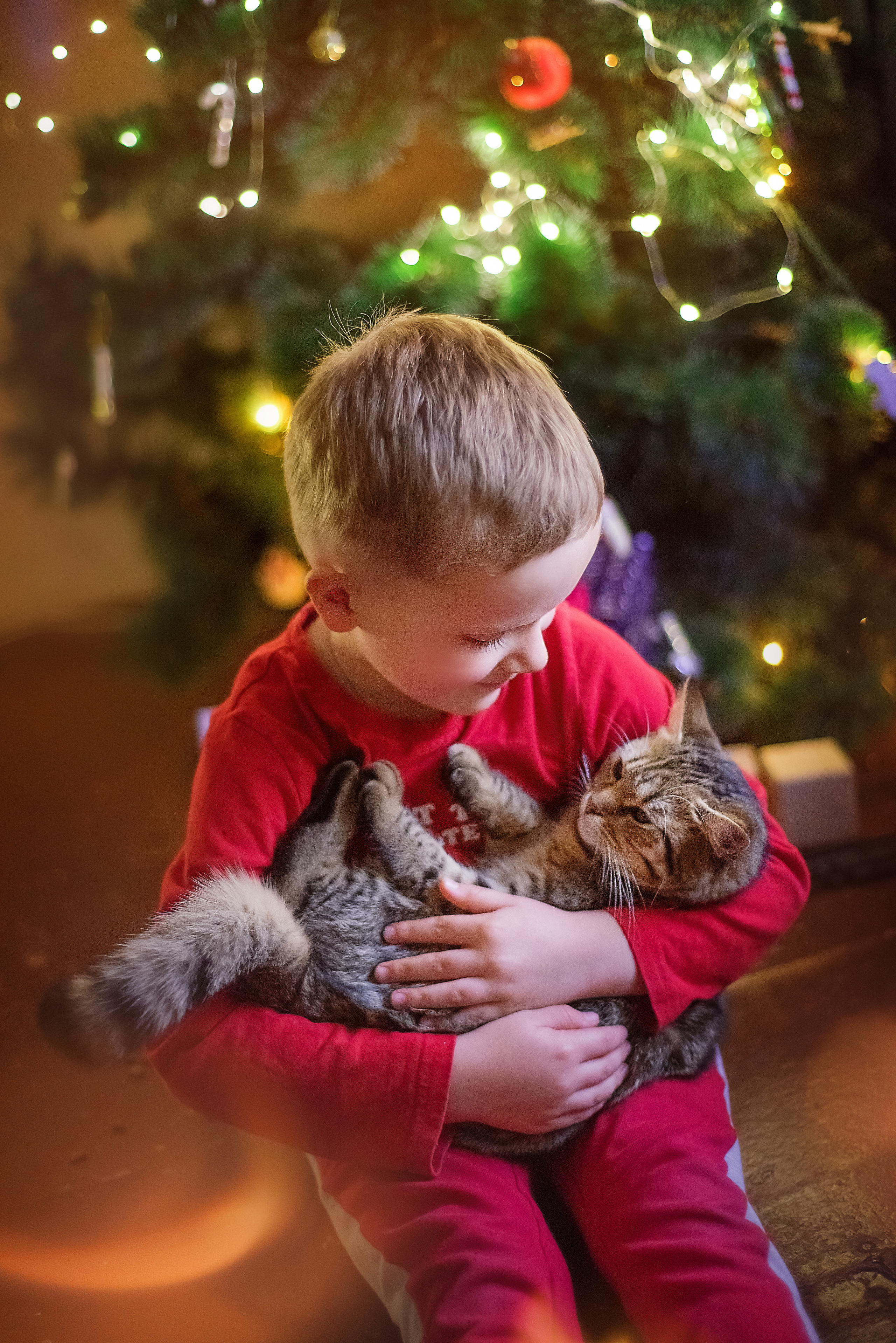 ФОТОПРОЕКТИ З ТВАРИНАМИ. Фотограф новонароджених (newborn) та дитинства у Житомирі Анна Якимчук