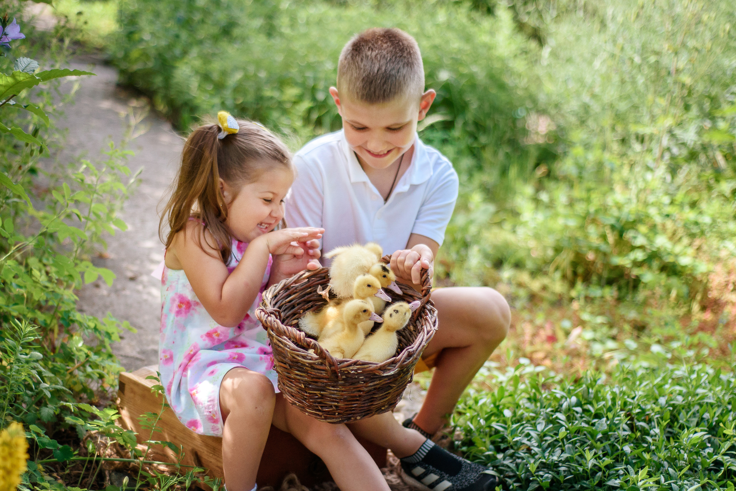 ФОТОПРОЕКТИ З ТВАРИНАМИ. Фотограф новонароджених (newborn) та дитинства у Житомирі Анна Якимчук