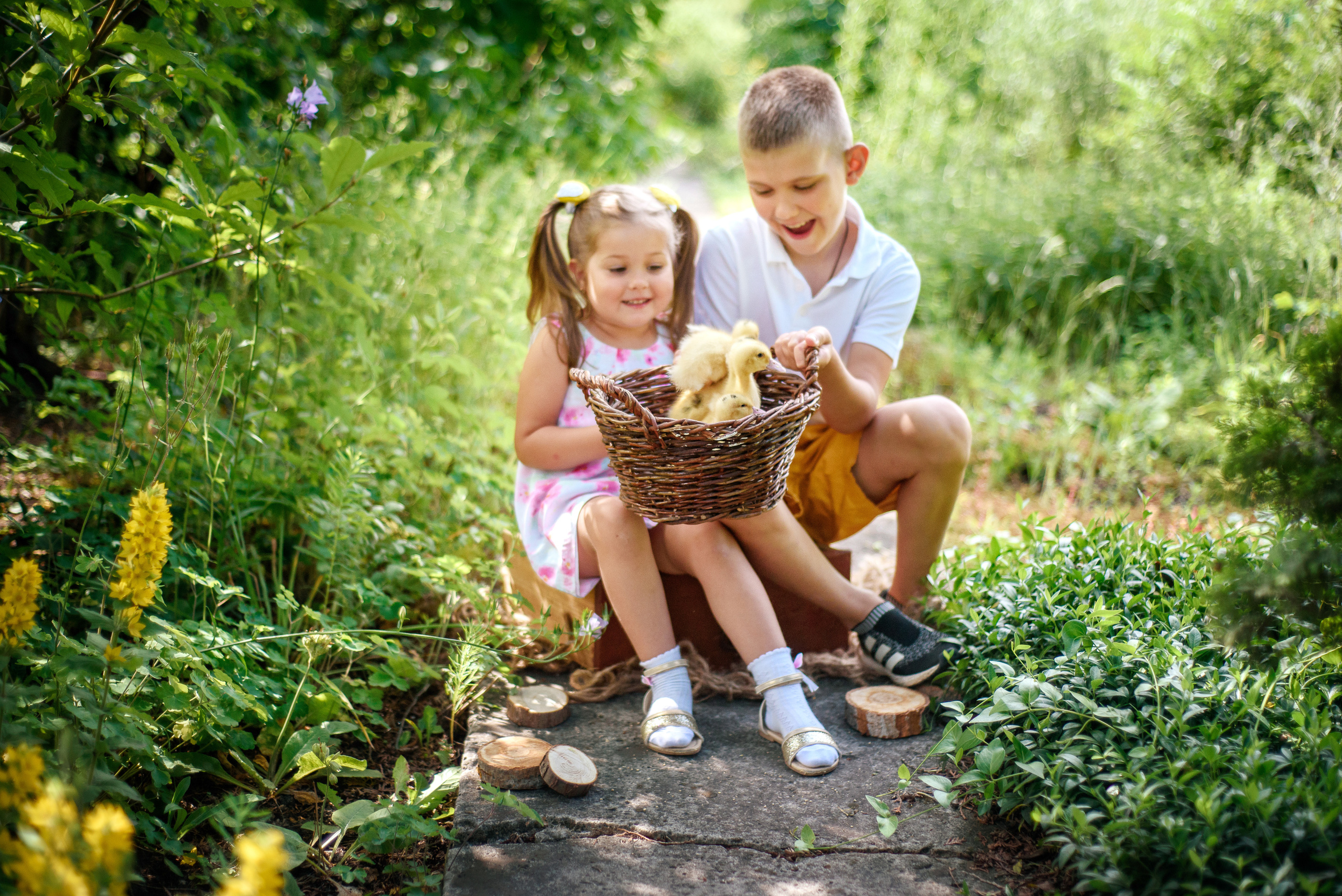 ФОТОПРОЕКТИ З ТВАРИНАМИ. Фотограф новонароджених (newborn) та дитинства у Житомирі Анна Якимчук
