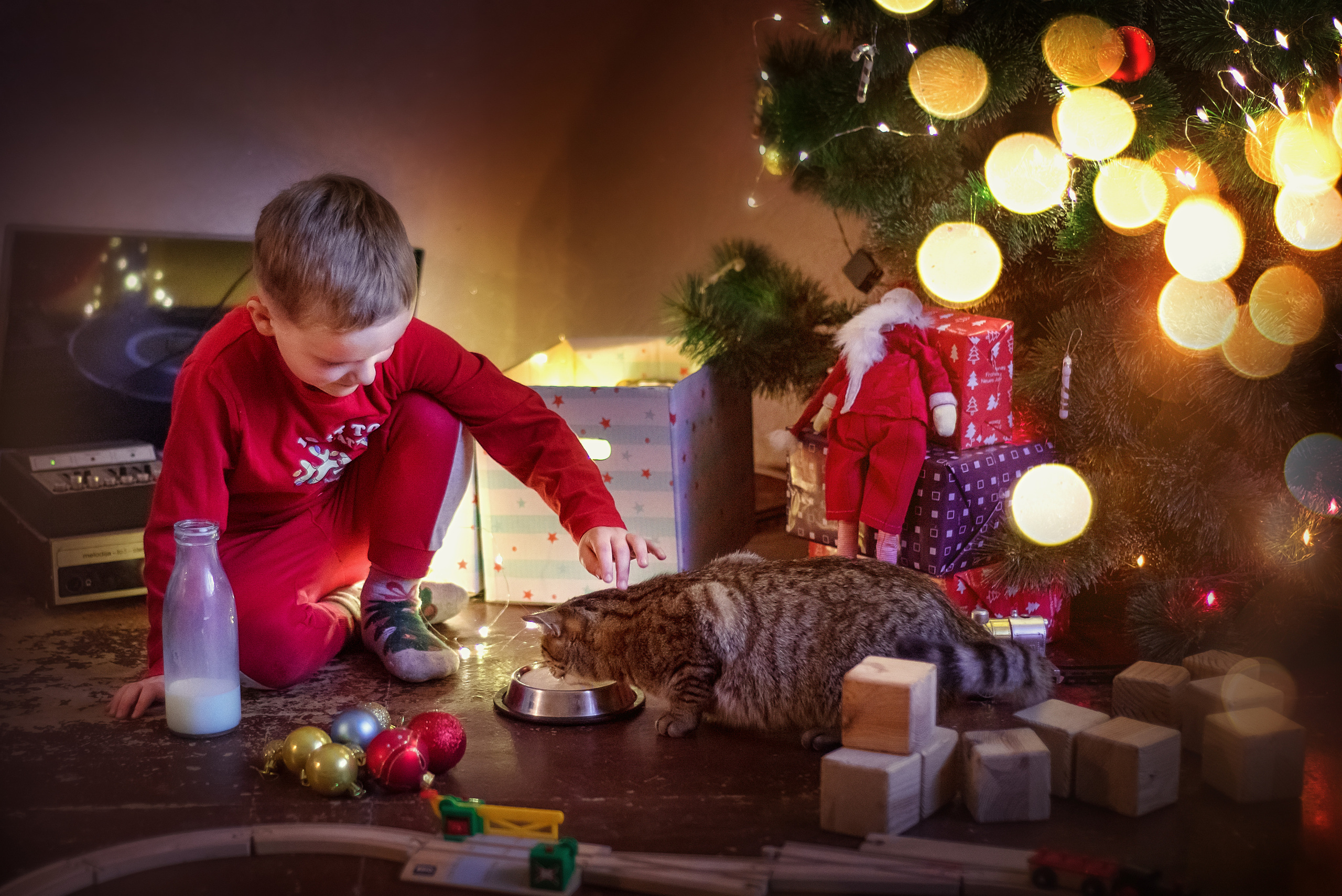 ФОТОПРОЕКТИ З ТВАРИНАМИ. Фотограф новонароджених (newborn) та дитинства у Житомирі Анна Якимчук