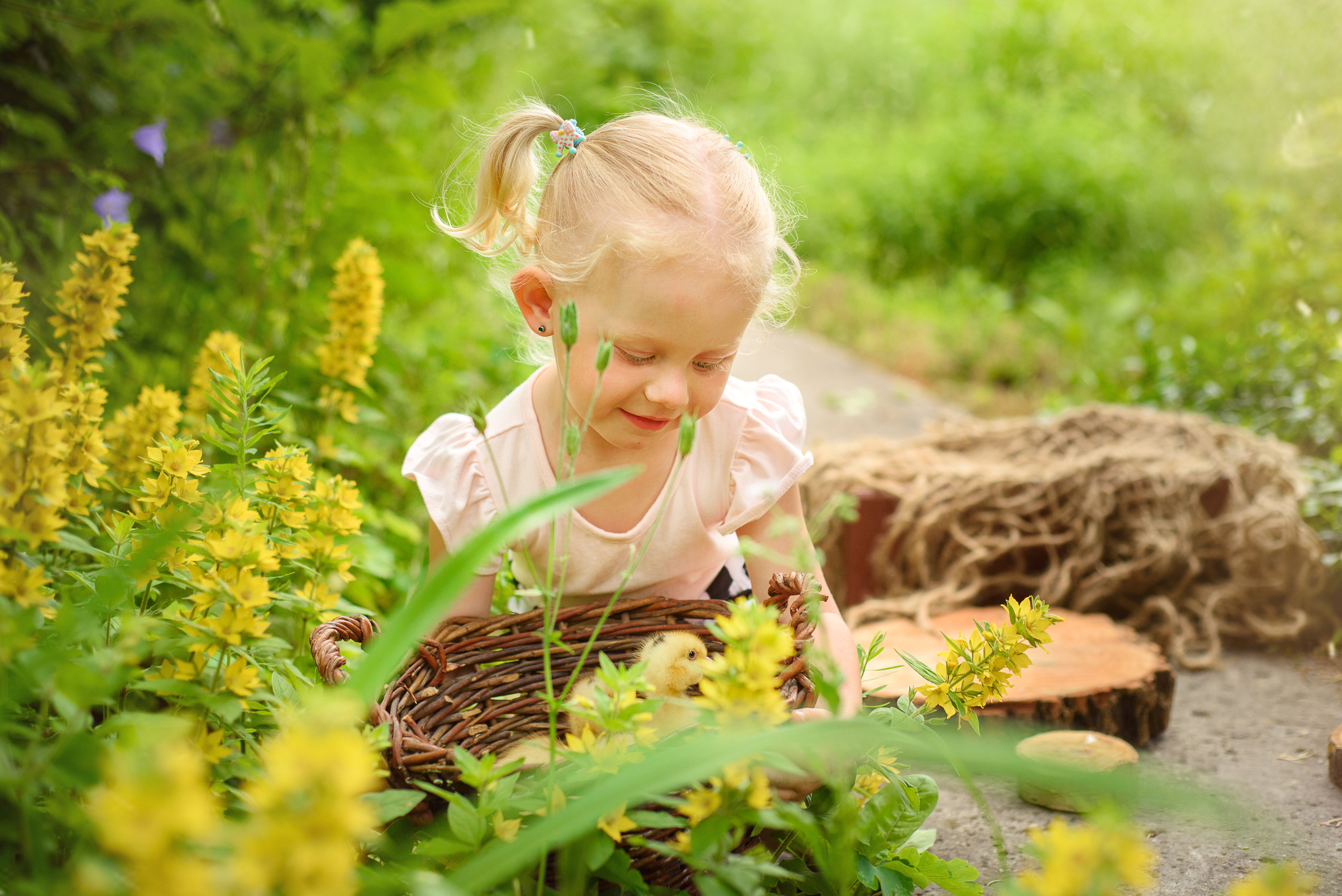 ФОТОПРОЕКТИ З ТВАРИНАМИ. Фотограф новонароджених (newborn) та дитинства у Житомирі Анна Якимчук