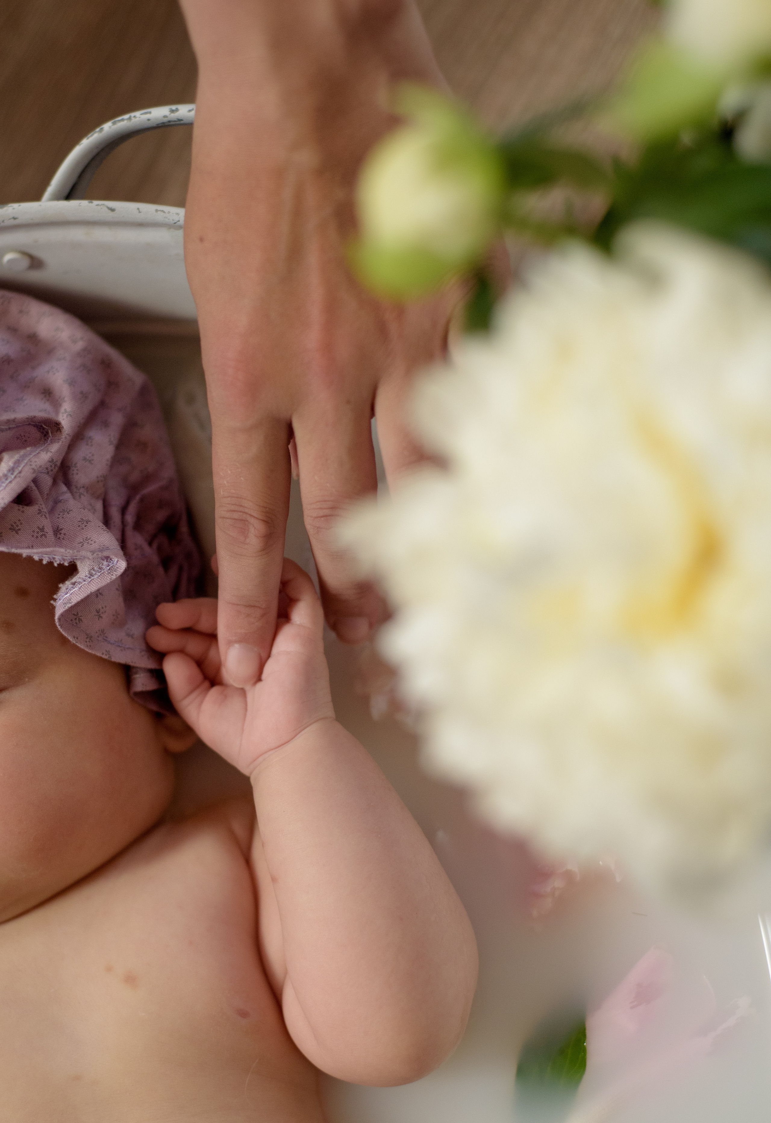 Купашки. Фотограф новонароджених (newborn) та материнства у Житомирі Анна Якимчук