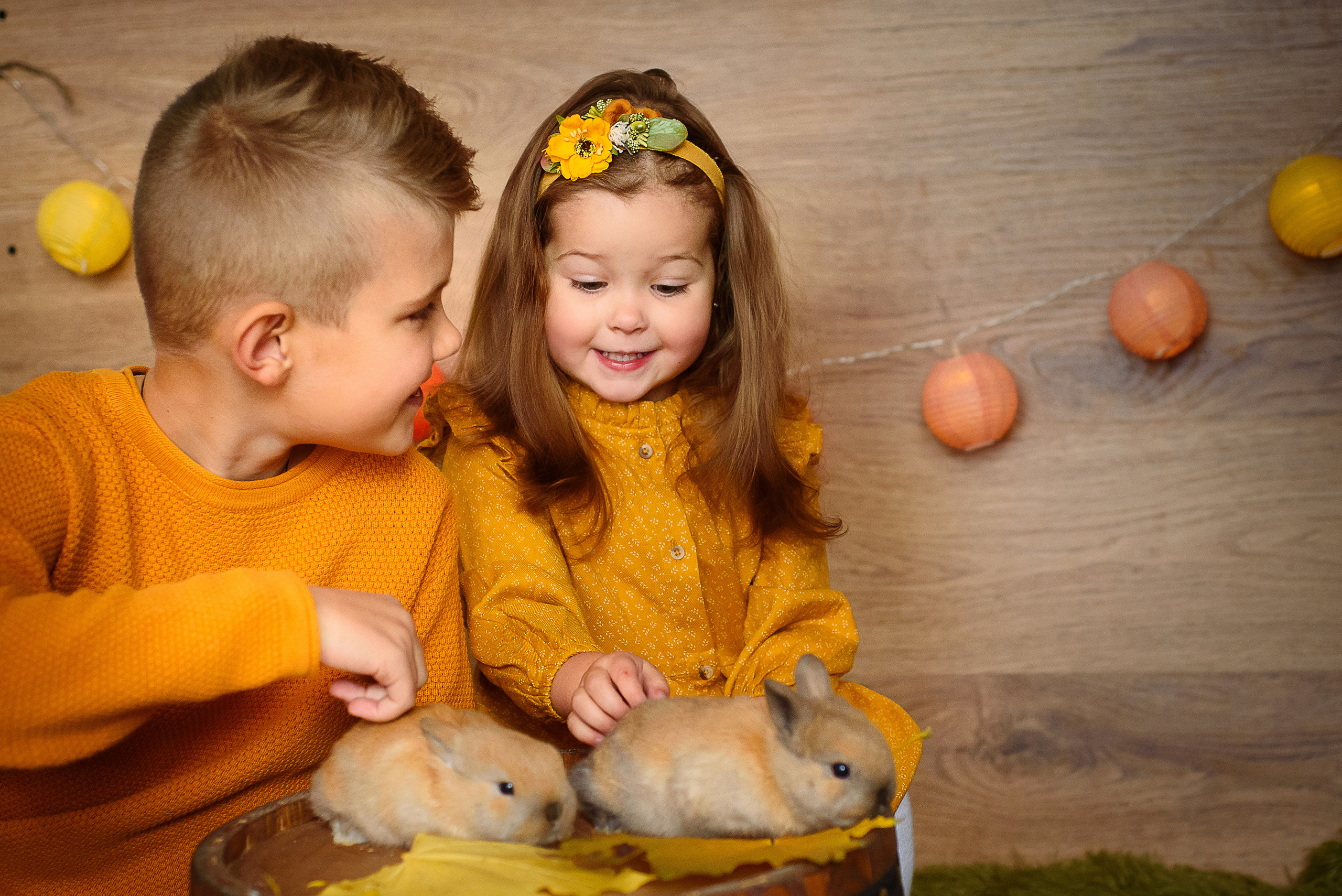 ФОТОПРОЕКТИ З ТВАРИНАМИ. Фотограф новонароджених (newborn) та дитинства у Житомирі Анна Якимчук