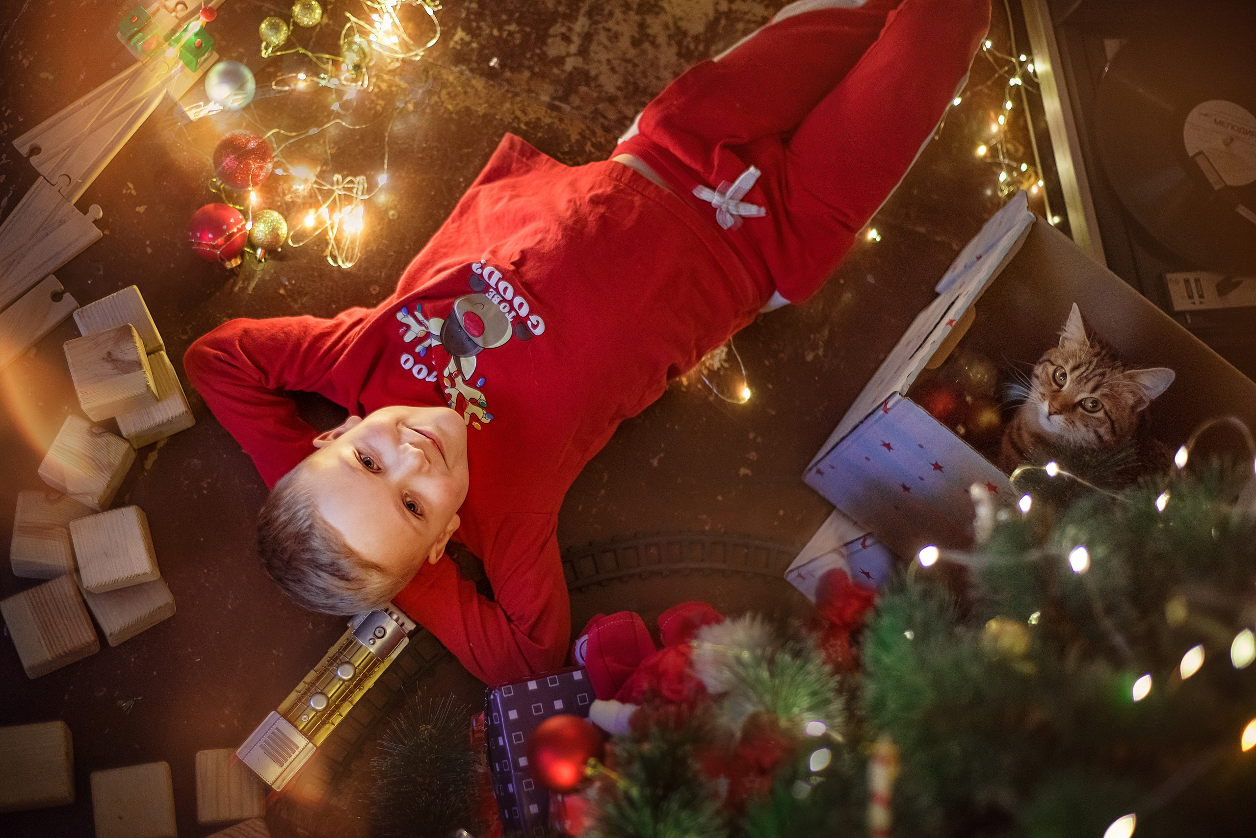 ФОТОПРОЕКТИ З ТВАРИНАМИ. Фотограф новонароджених (newborn) та дитинства у Житомирі Анна Якимчук