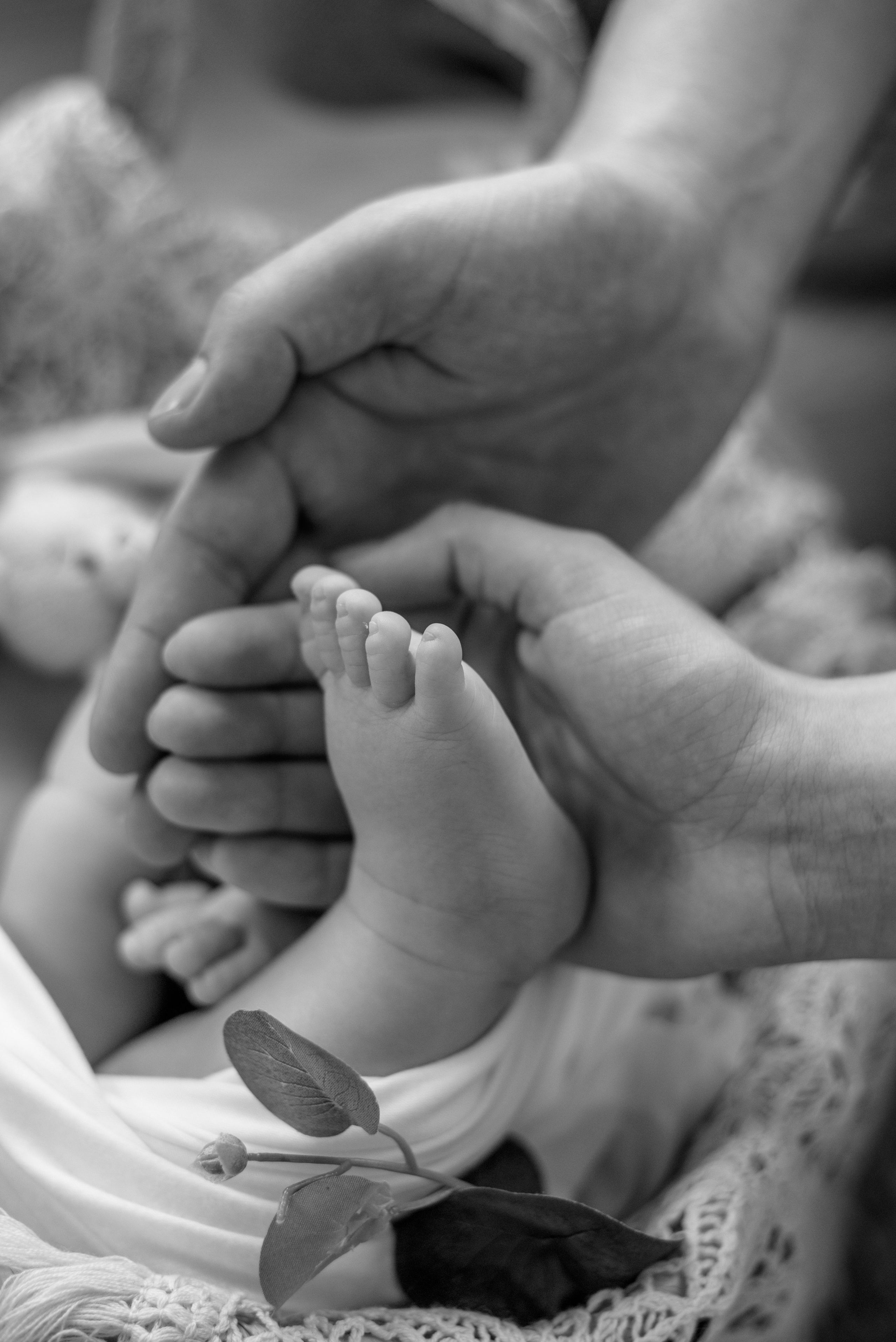 Купашки. Фотограф новонароджених (newborn) та материнства у Житомирі Анна Якимчук