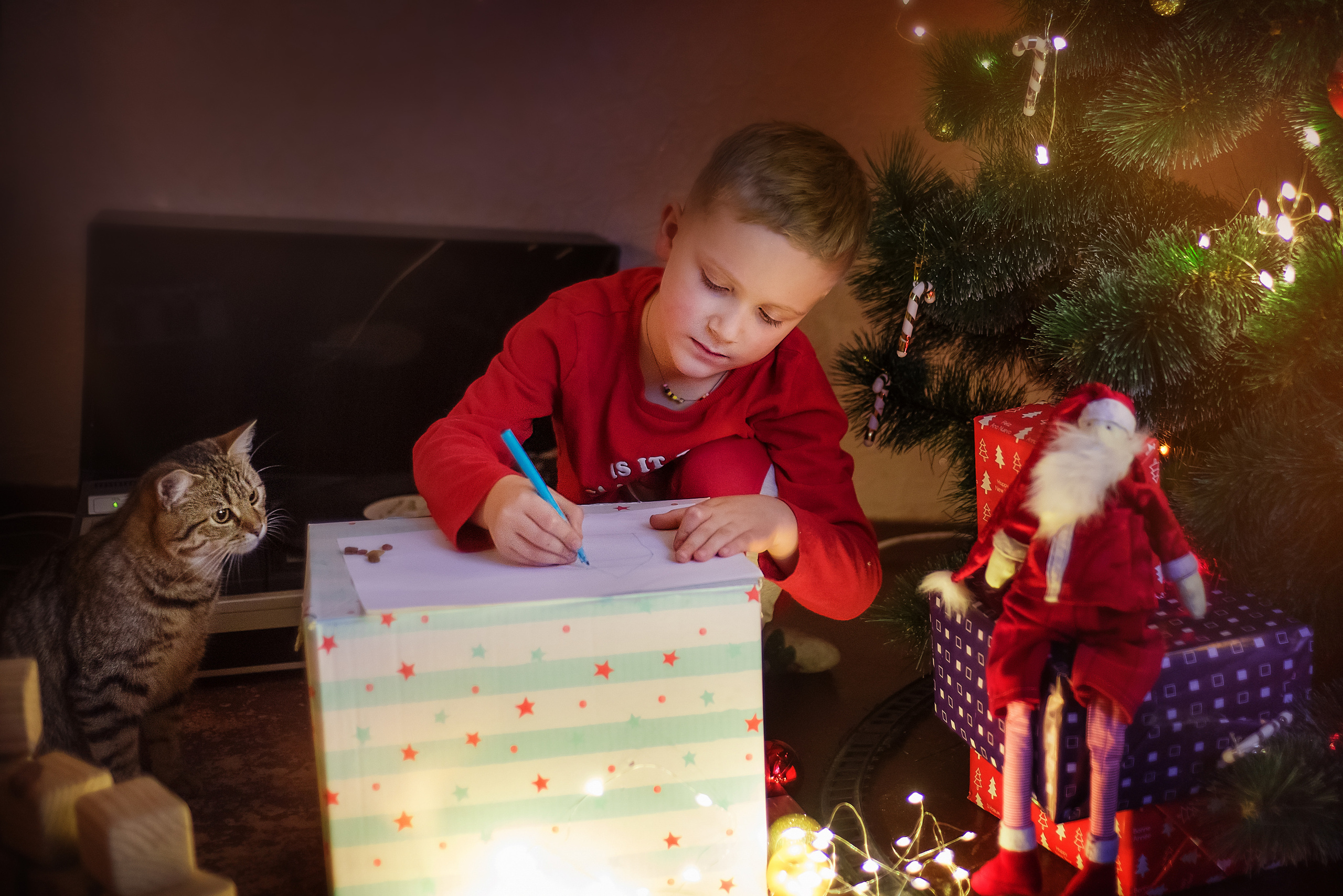 ФОТОПРОЕКТИ З ТВАРИНАМИ. Фотограф новонароджених (newborn) та дитинства у Житомирі Анна Якимчук