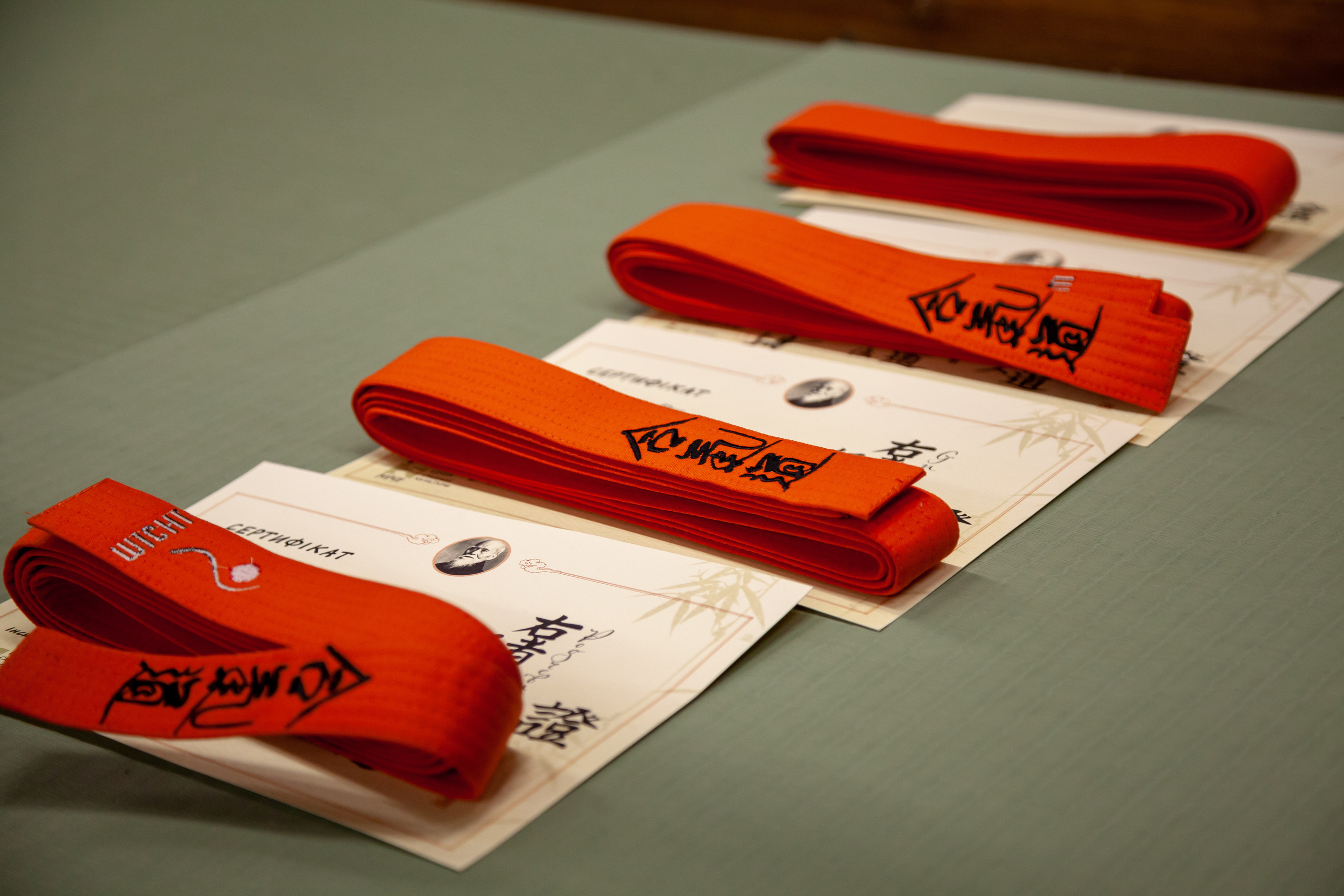 Детская спортивная аттестация. Професійний фотограф в Києві Олена Зіненко