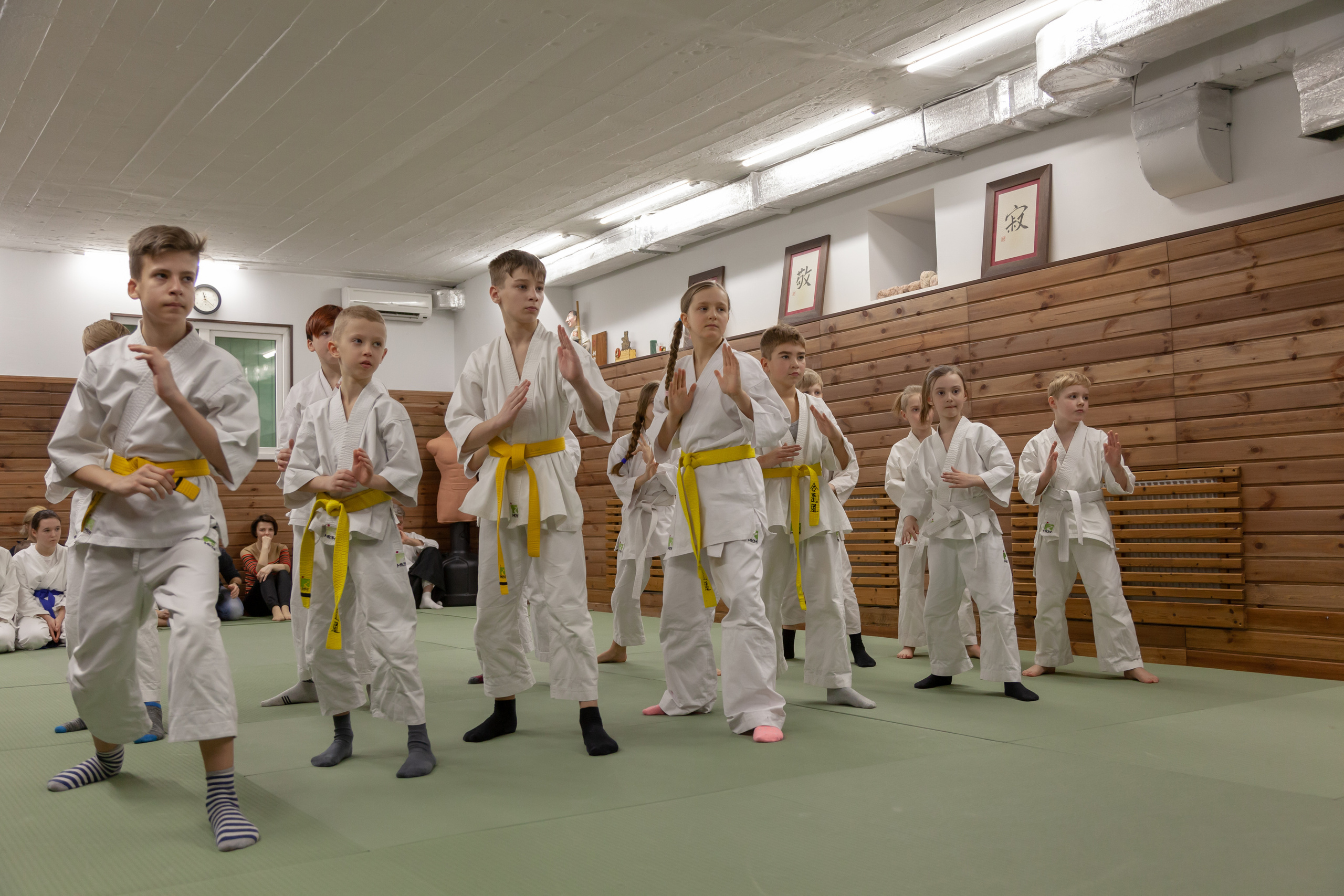 Детская спортивная аттестация. Професійний фотограф в Києві Олена Зіненко