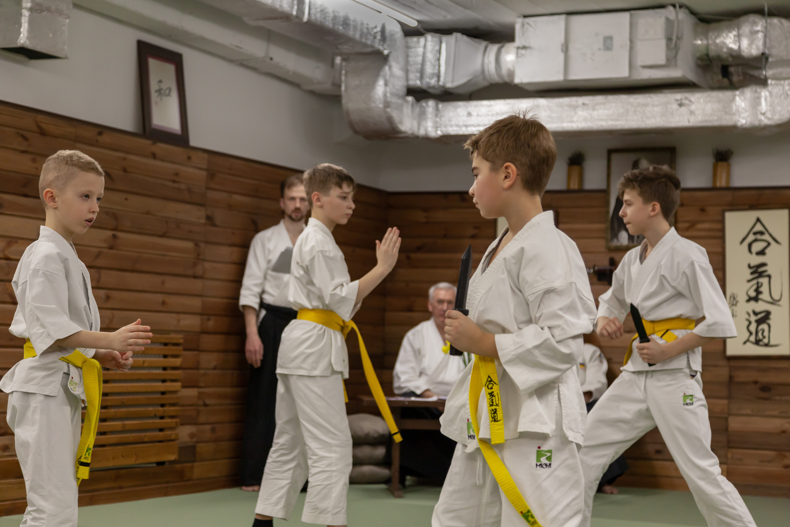 Детская спортивная аттестация. Професійний фотограф в Києві Олена Зіненко