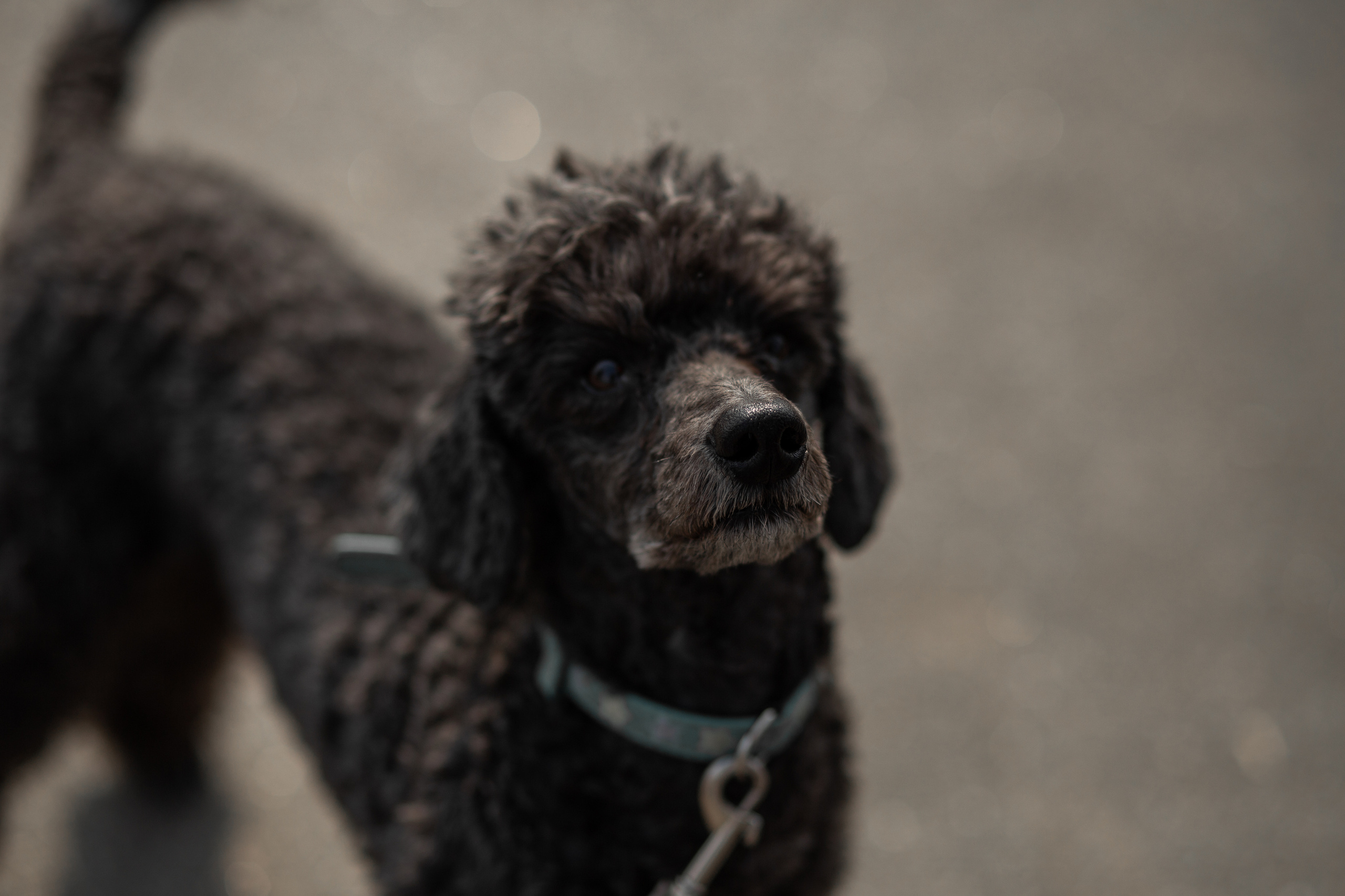 Margarita. Фотограф Ольга Вороніщева