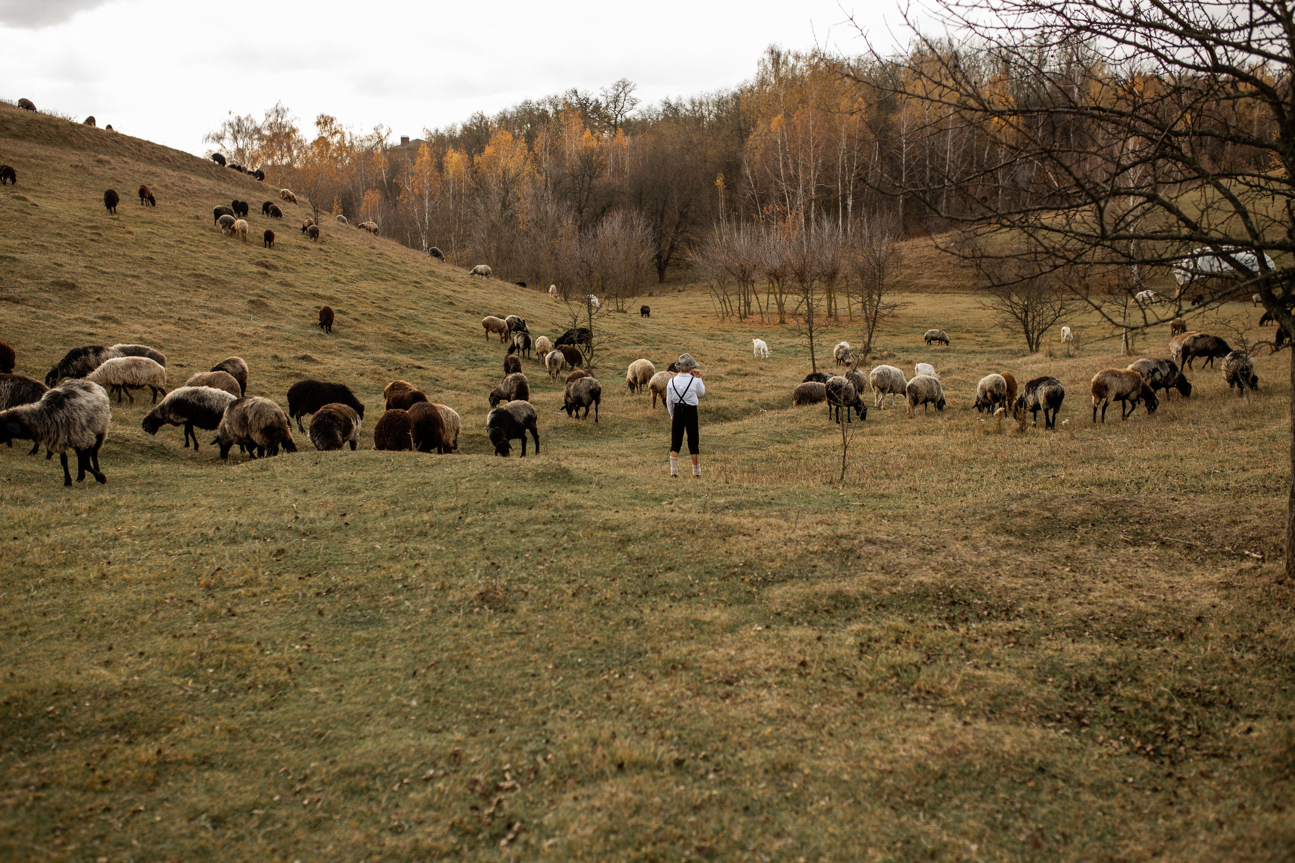 Autumn story. Фотограф Ольга Вороніщева