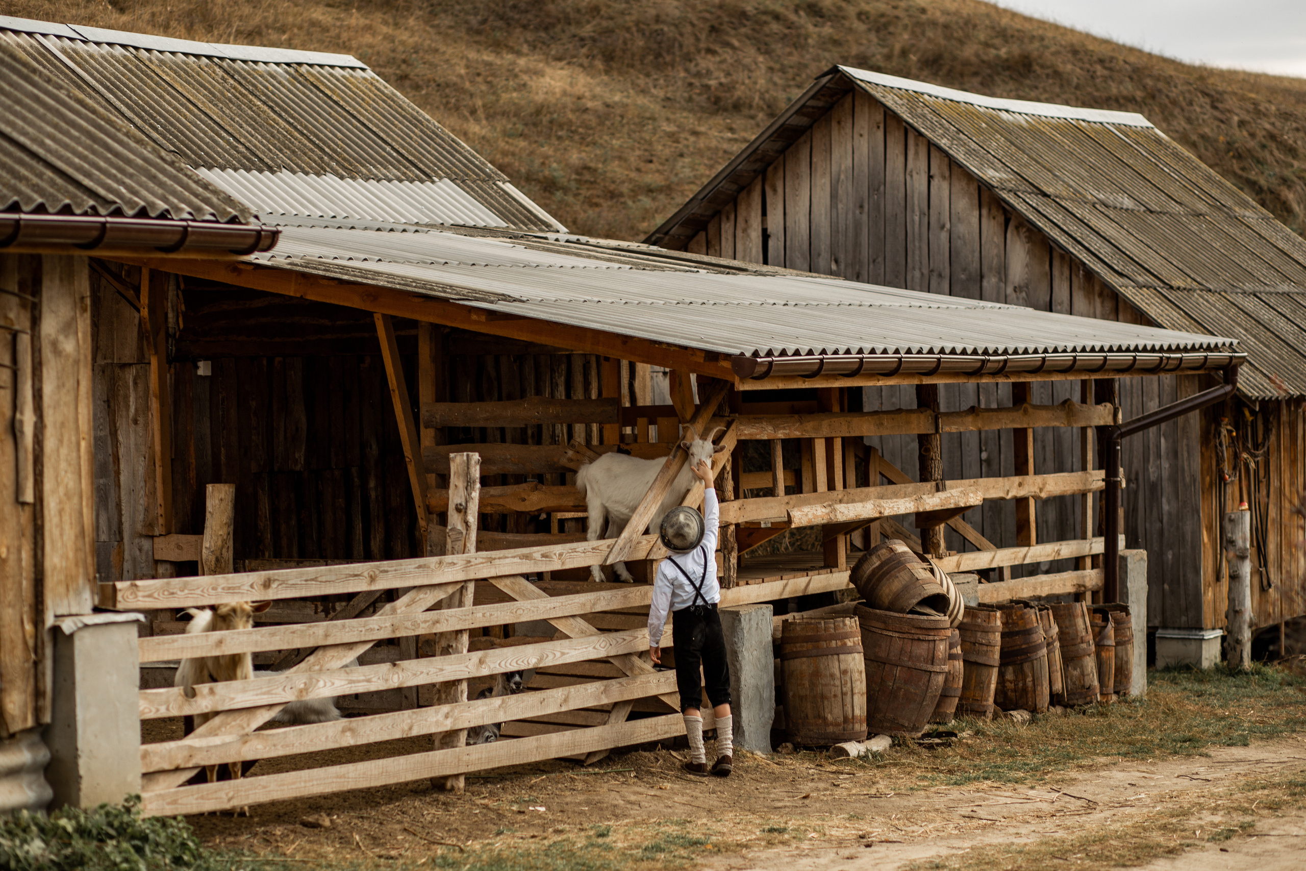 Autumn story. Фотограф Ольга Вороніщева