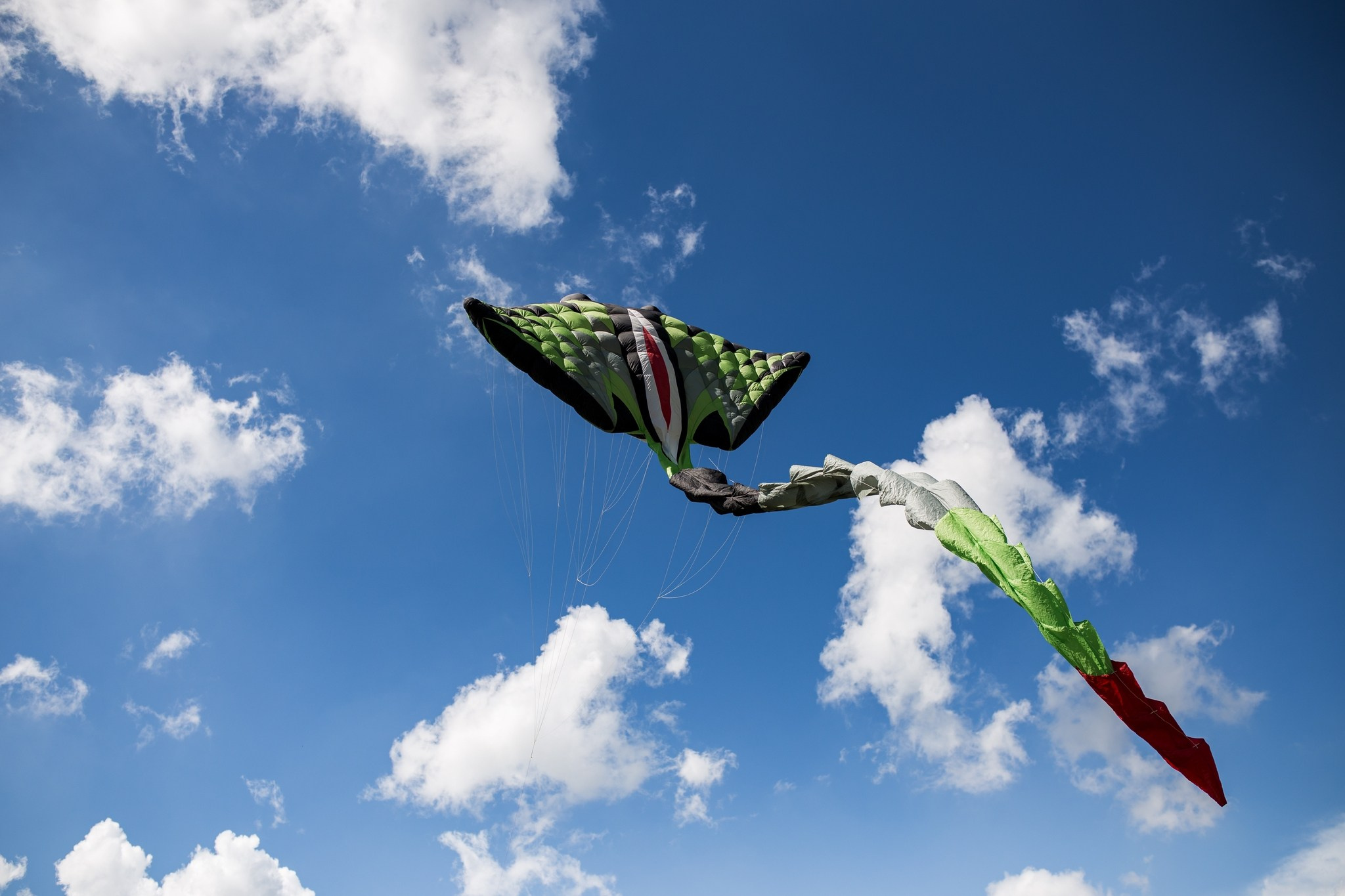 Reportage dell’annuale festival degli aquiloni Vulandra. Fotografa ritrattista Olga Ferrara Bologna Padova