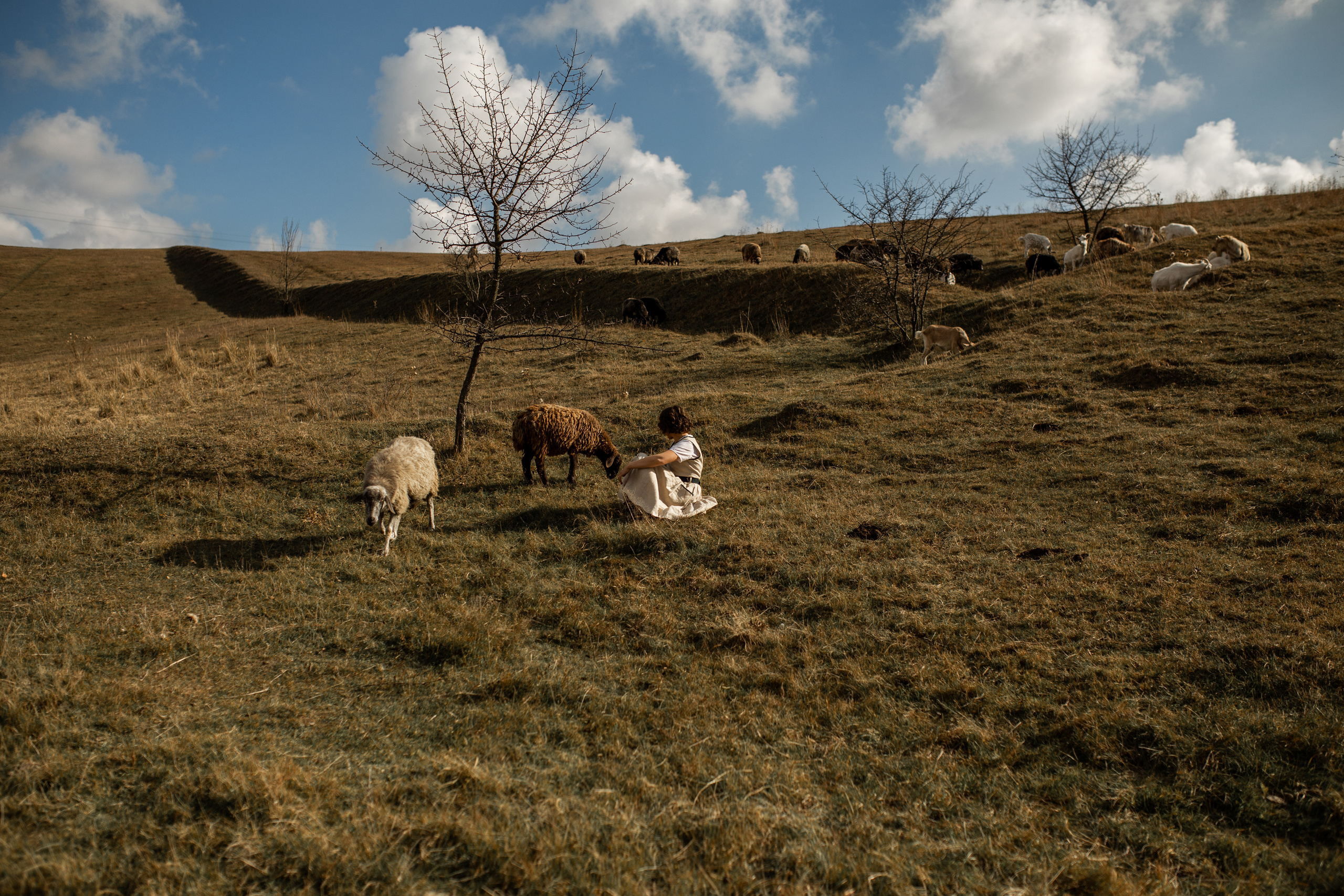 Autumn story. Фотограф Ольга Вороніщева