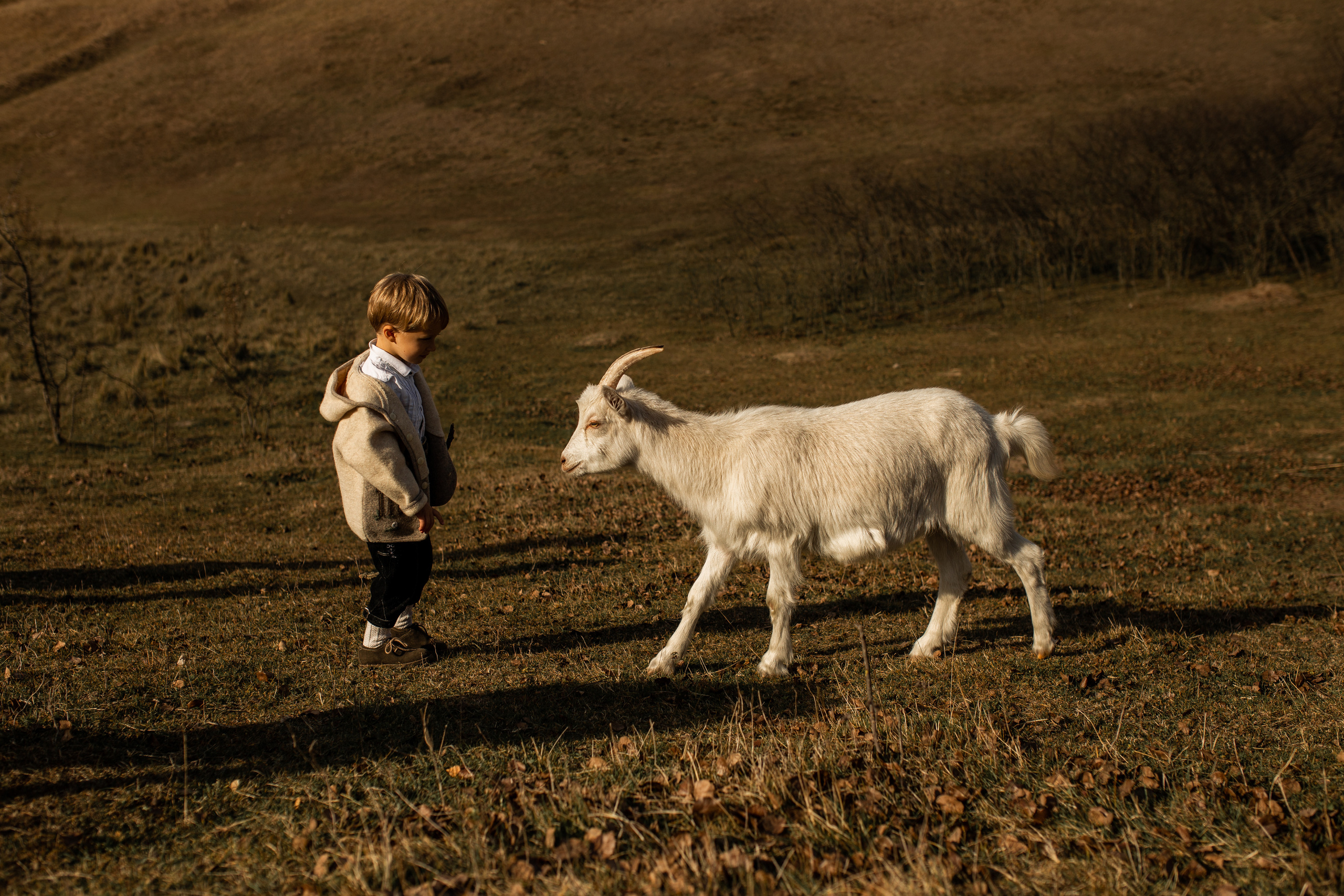 Autumn story. Фотограф Ольга Вороніщева