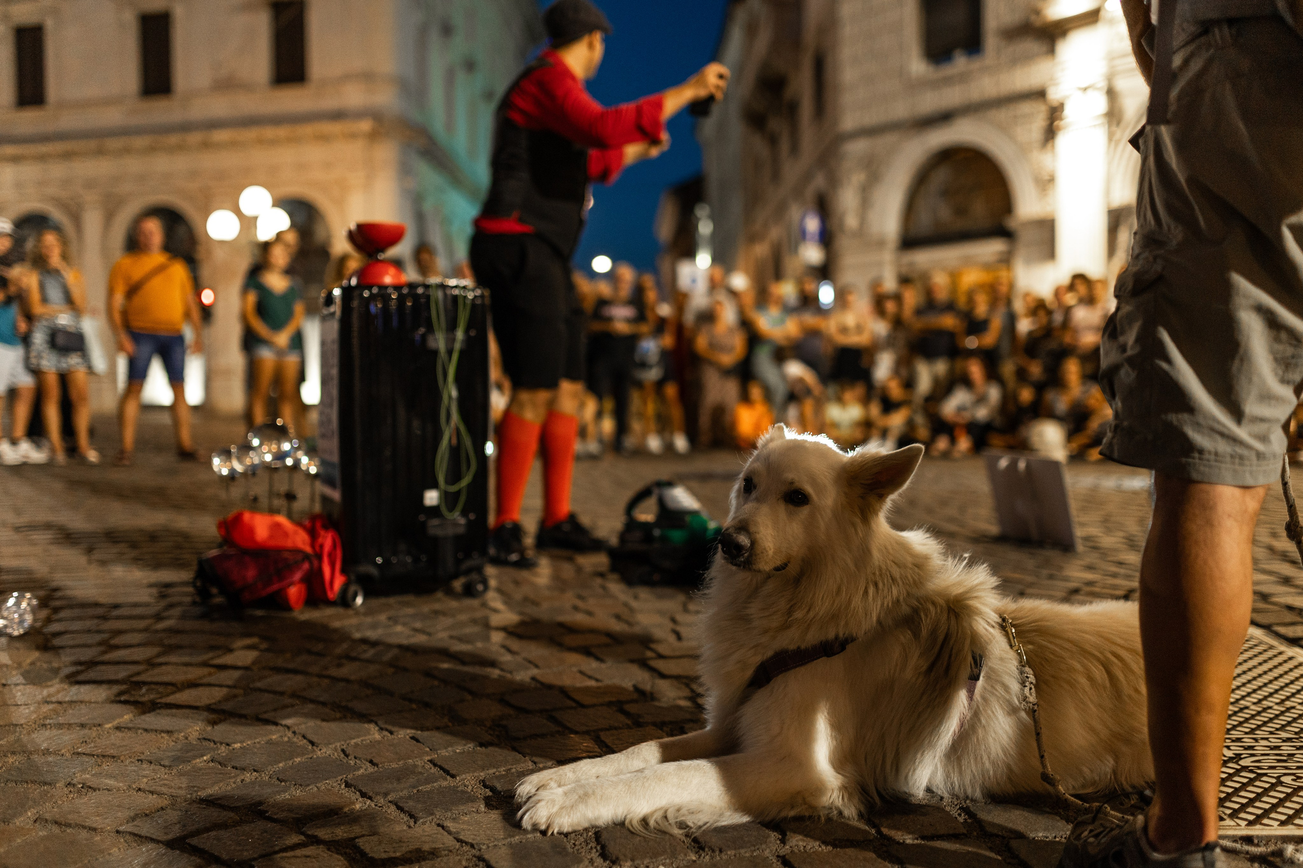 FBF Day 4. Fotografa ritrattista Olga Ferrara Bologna Padova